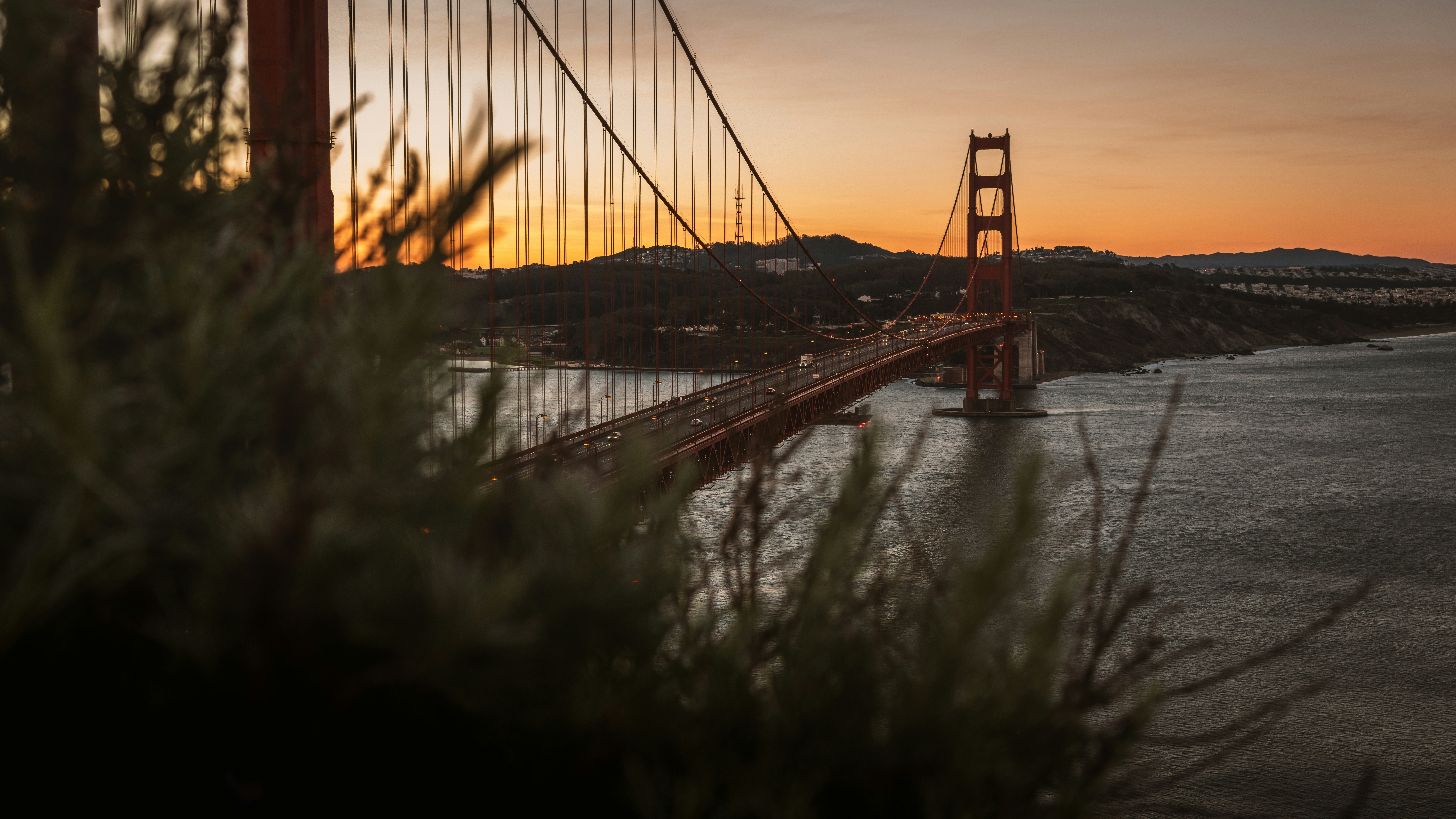 Photo by kalaniparker