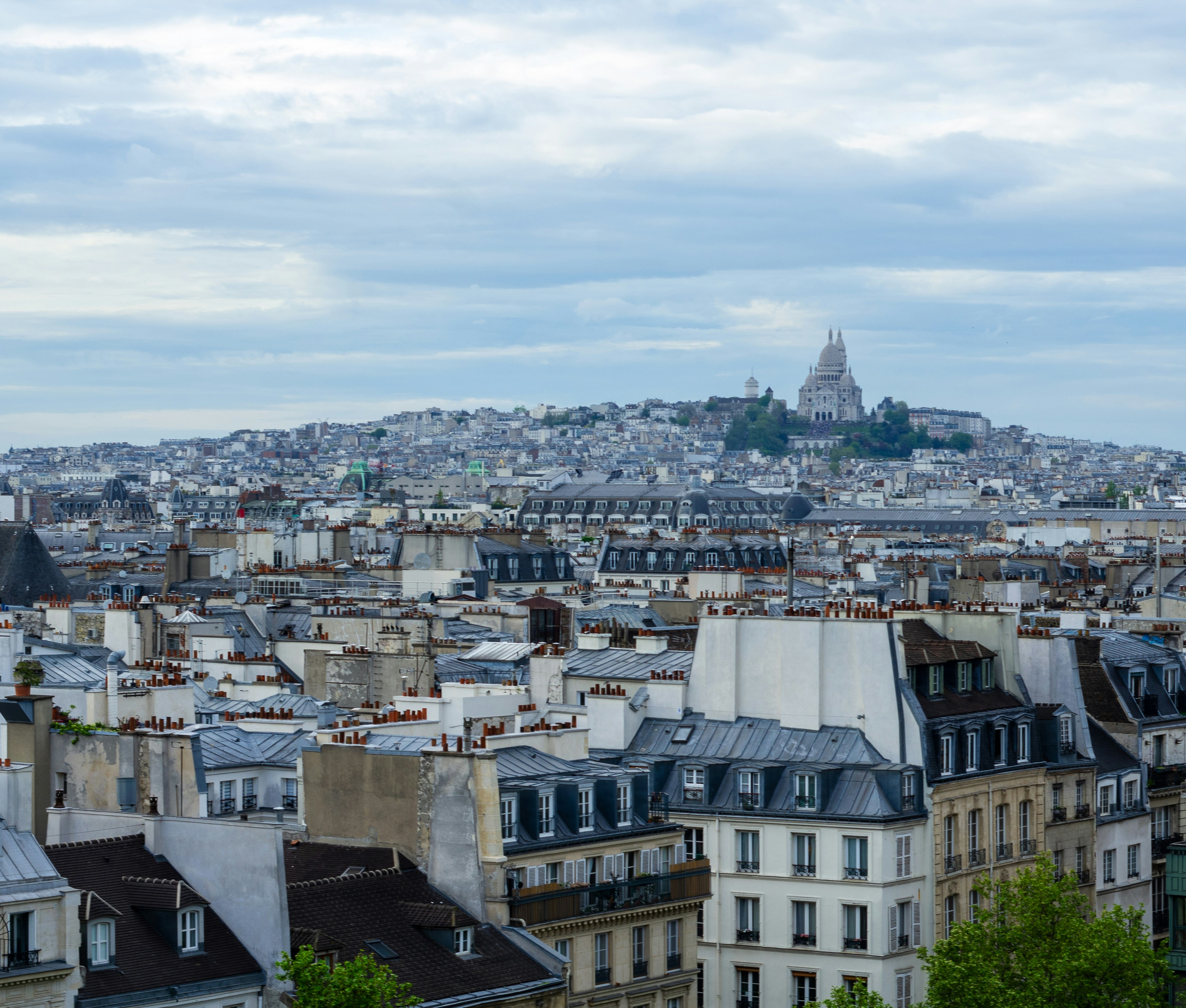 Photo by barrydtalleyduke3