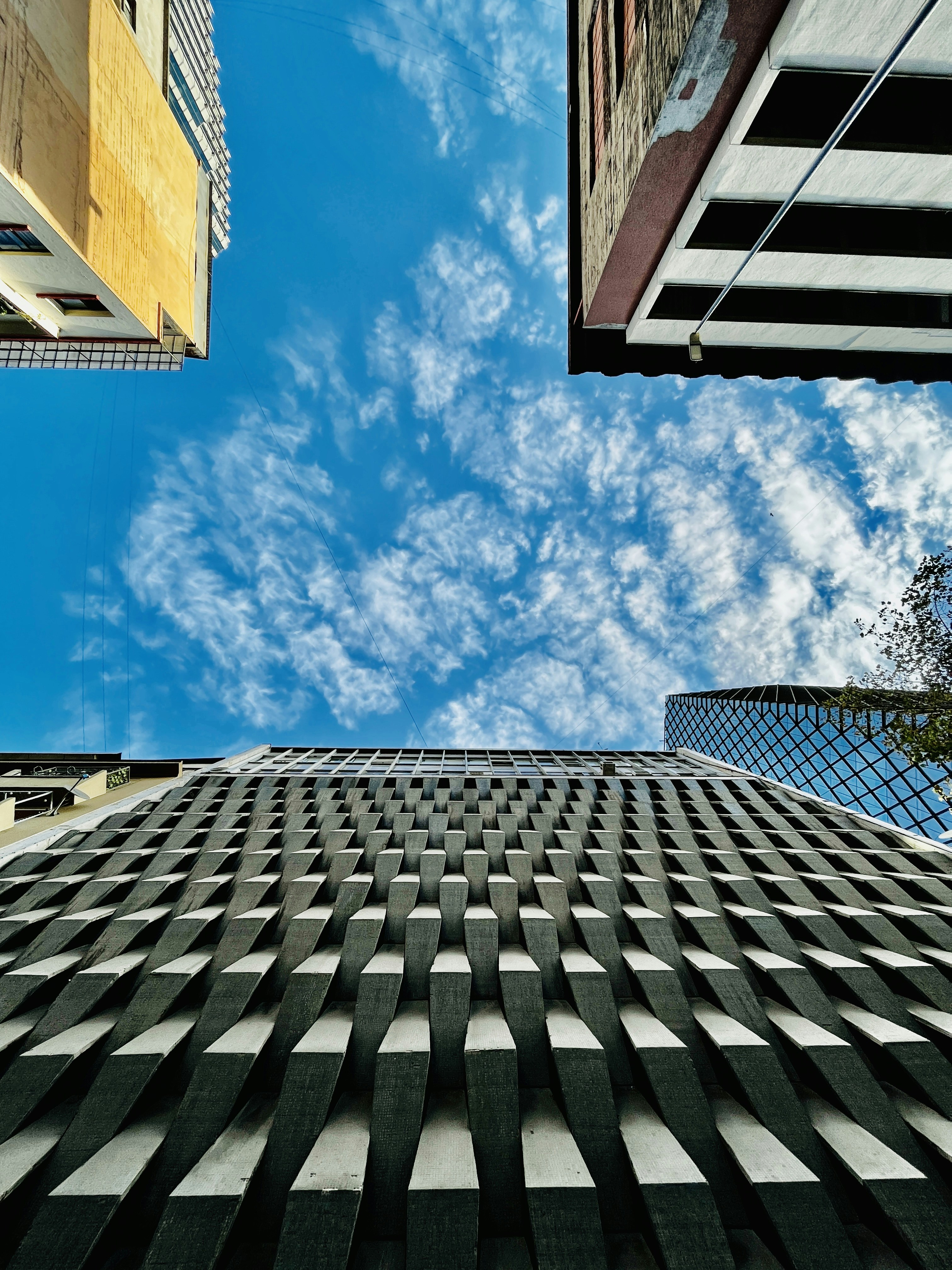 Photo by giannidonato