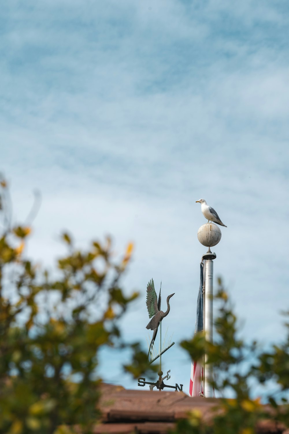 a seagull perches on top of a building