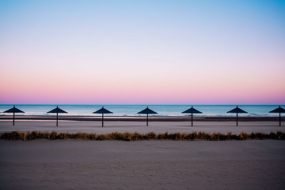 une rangée de parasols assis au sommet d’une plage de sable