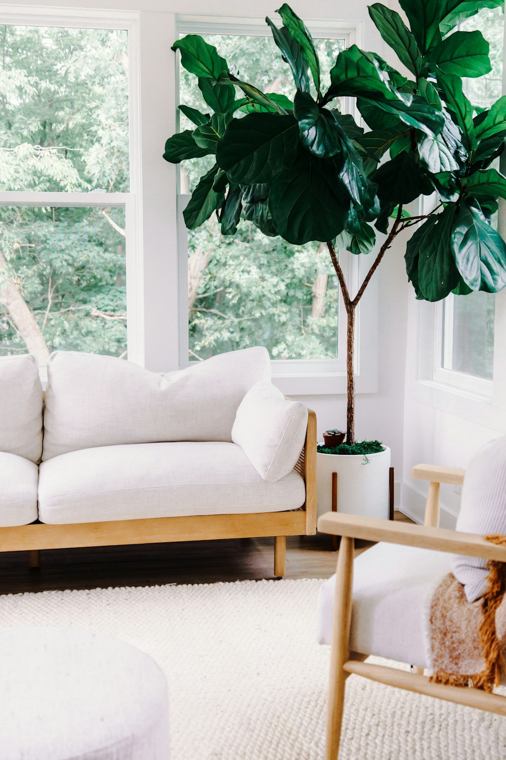 a living room with a couch, chair and a potted plant