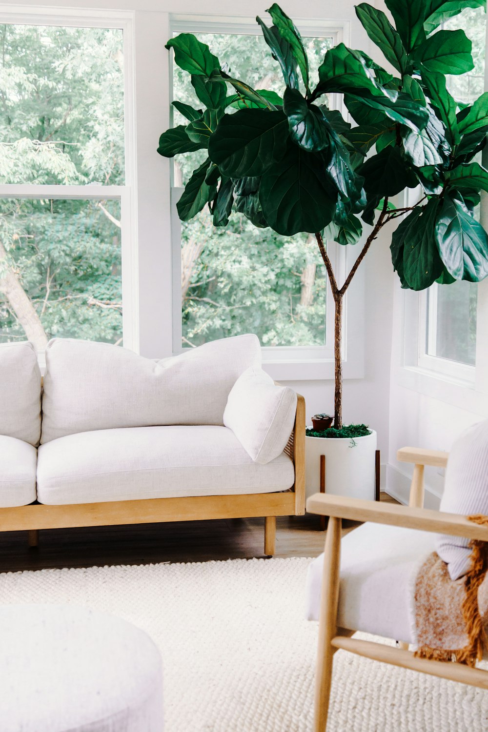 una sala de estar con un sofá, una silla y una planta en maceta