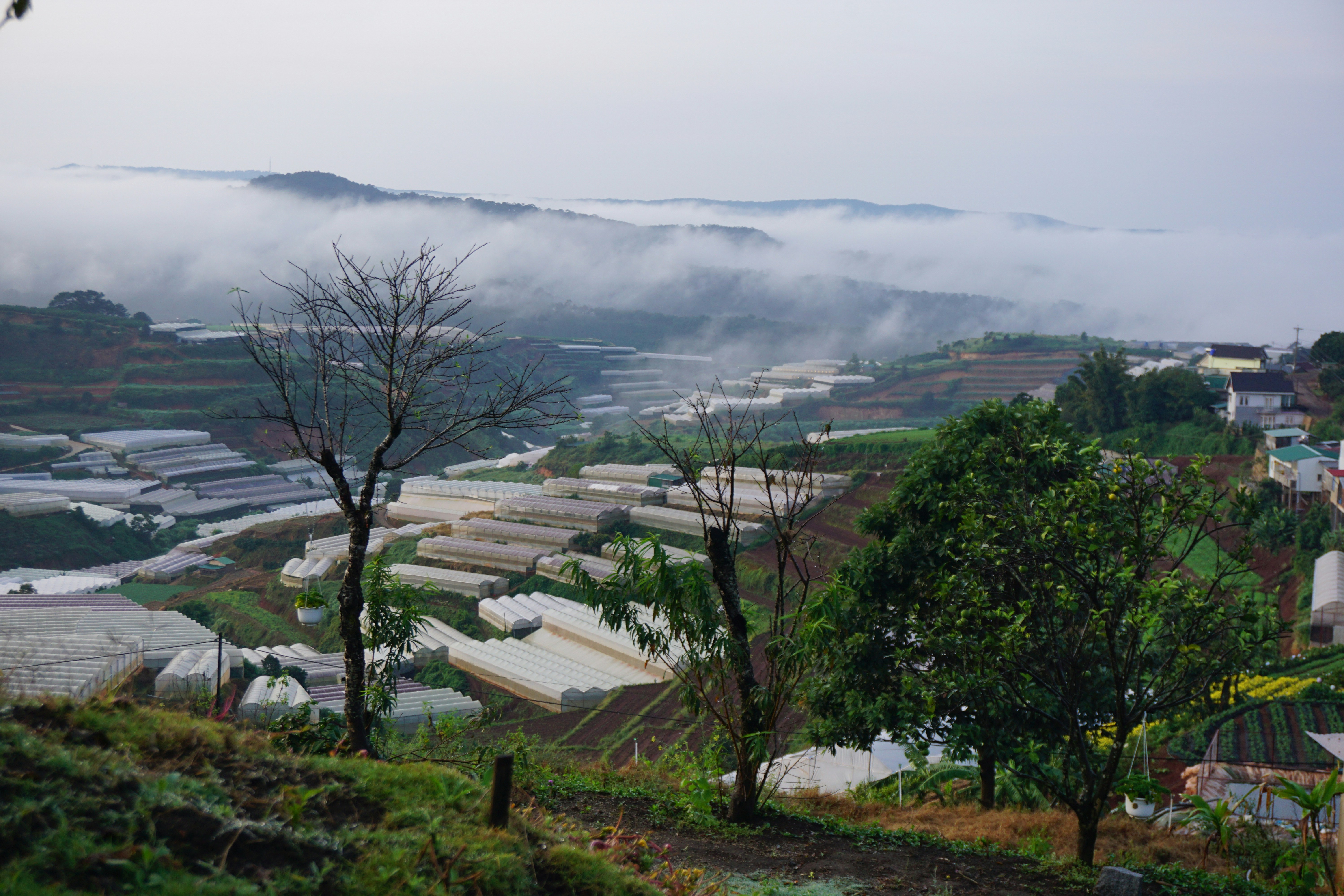 Residential towers representing five-bedroom apartment rentals in Da Lat, Vietnam