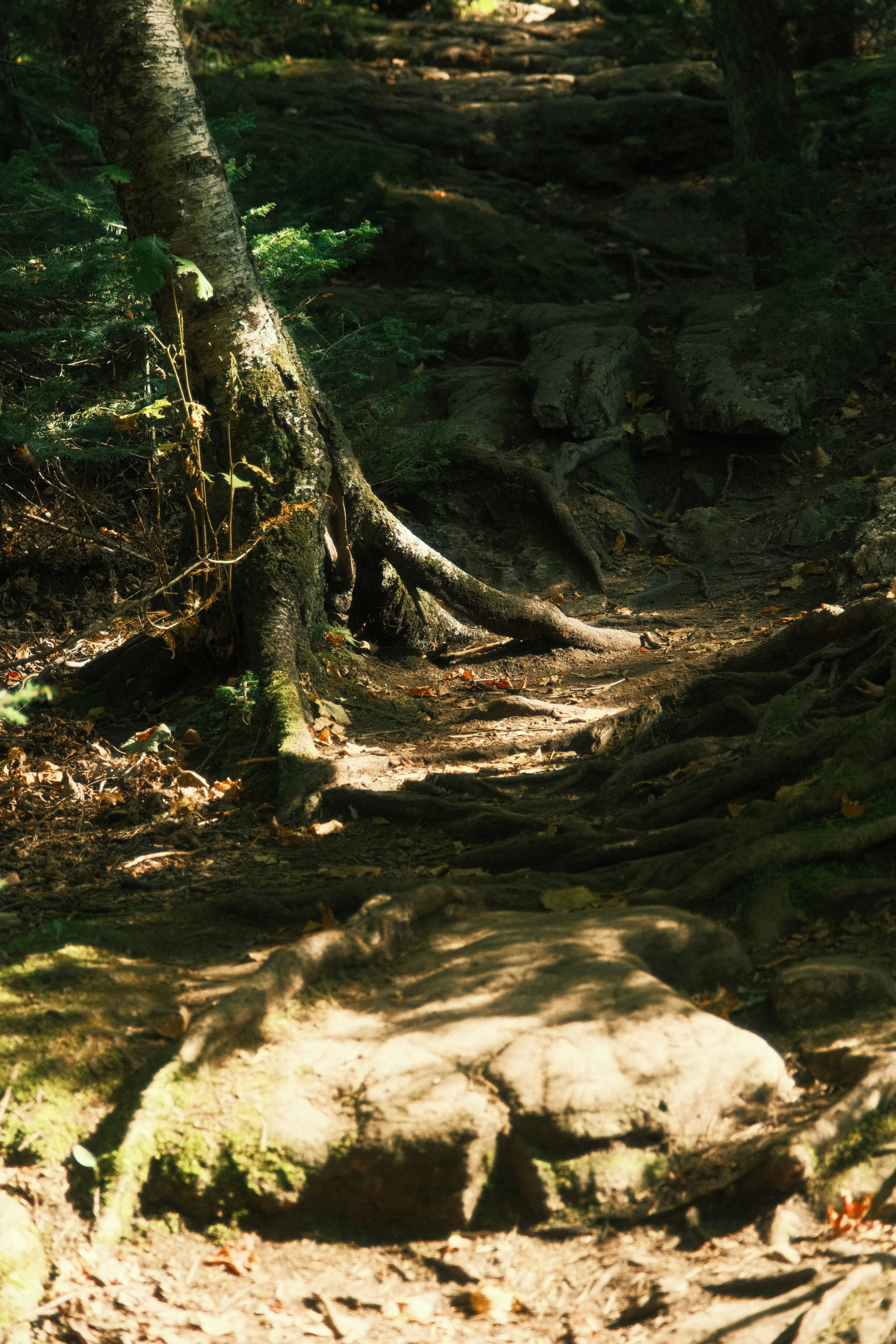 Photo by tonny_huang