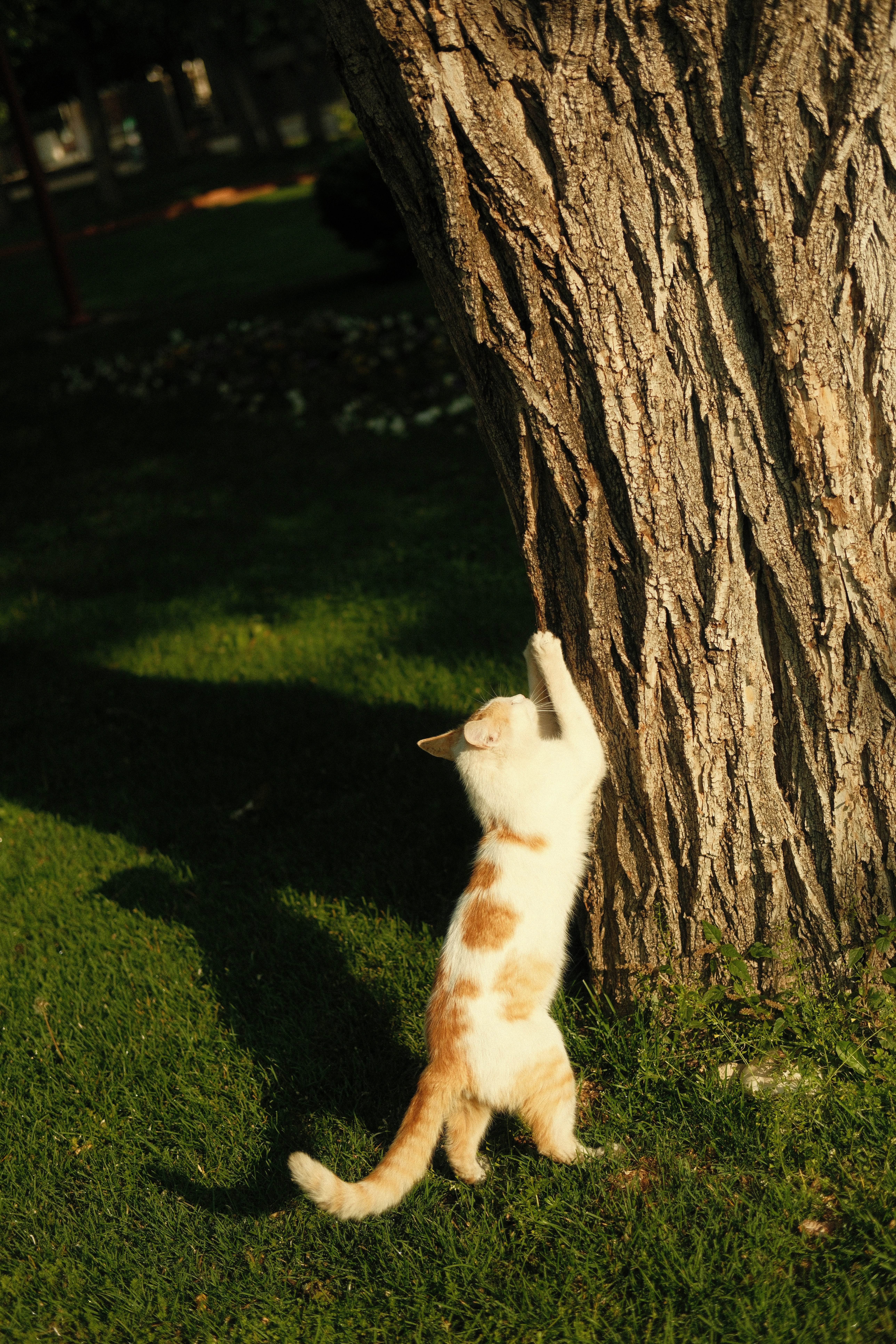 Photo by tonny_huang