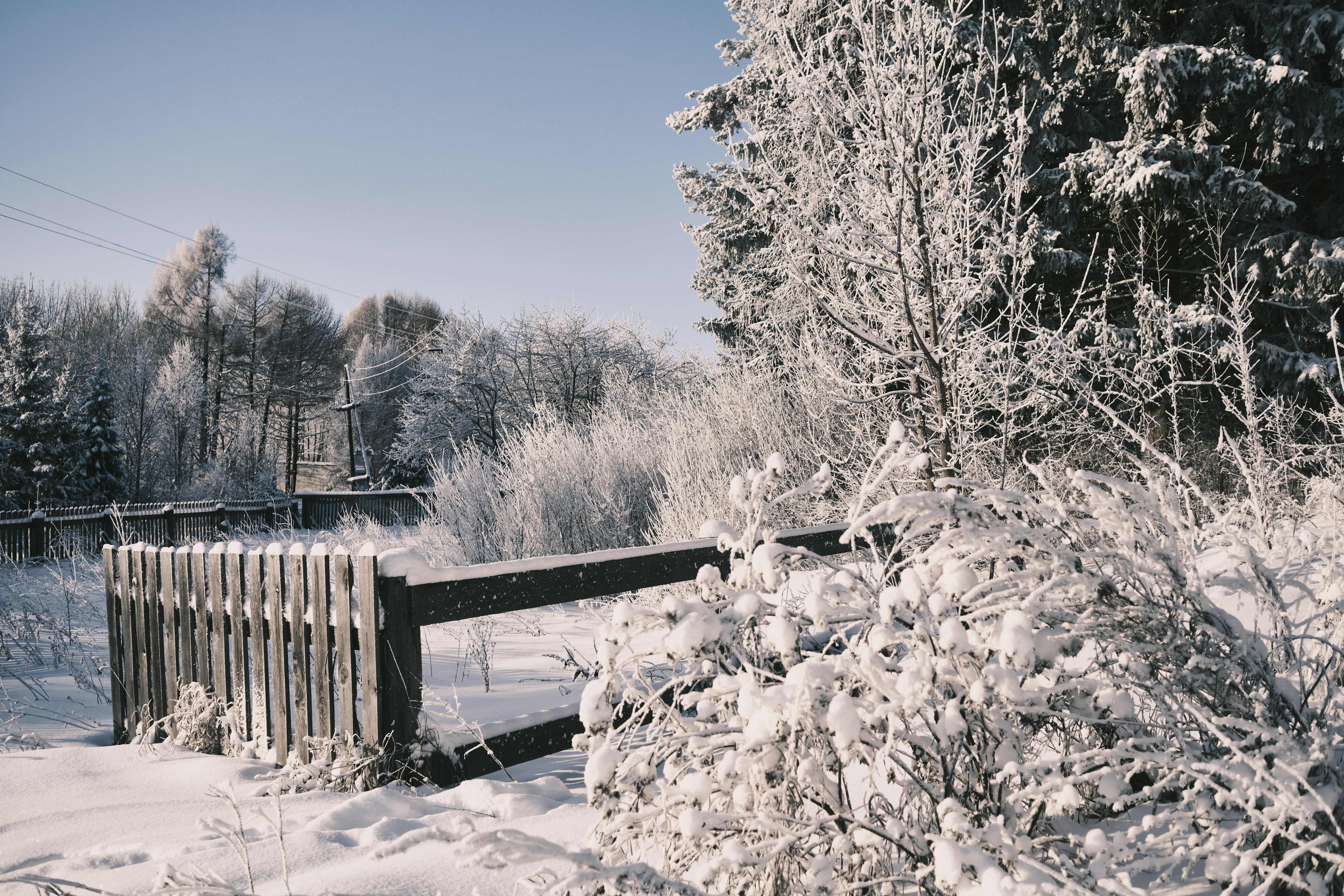 Photo by kazusaki_sagar