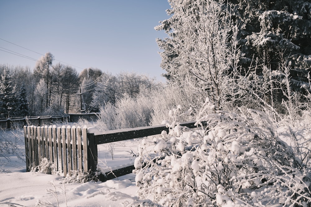 a wooden fence surrounded by snow covered trees