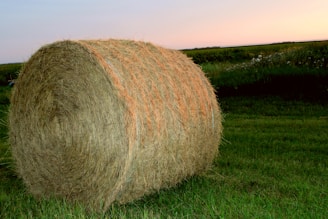 a large round bale of hay in a field