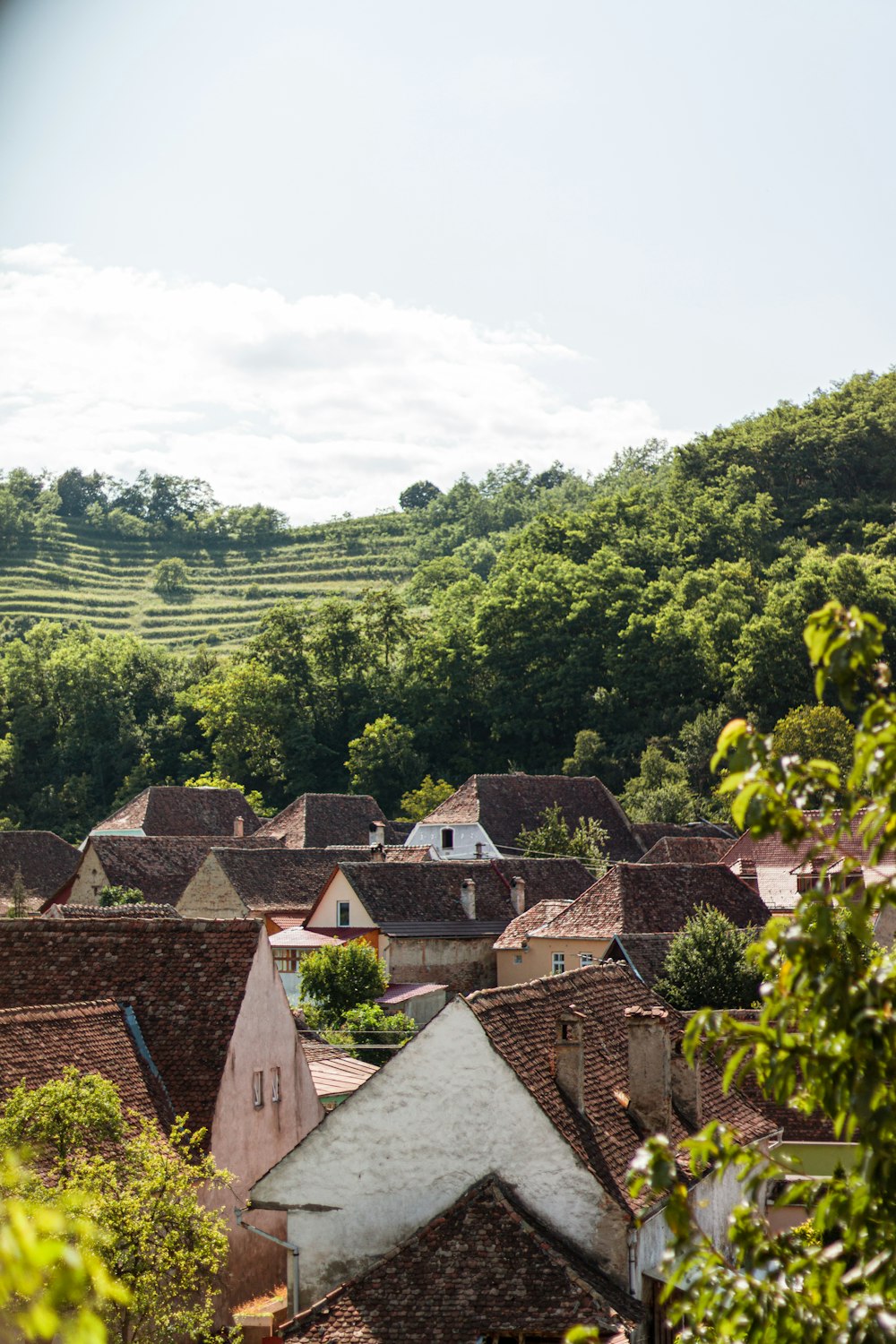 a view of a village from a hill