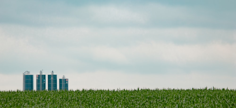 a field of green grass with three silos in the background