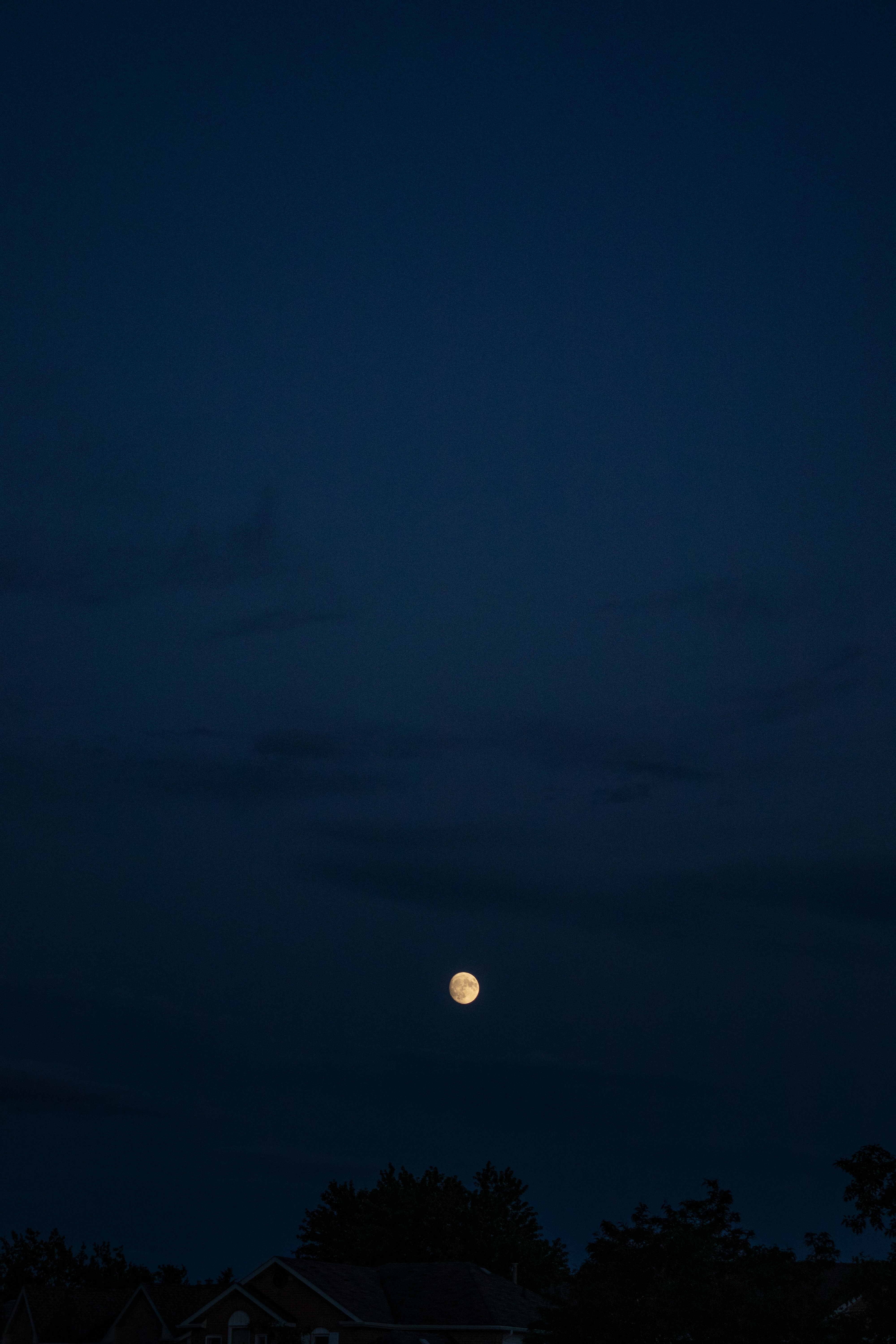 Photo by sinabahar76