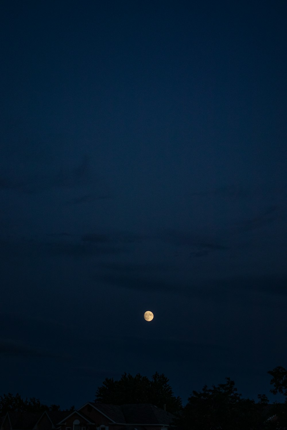 a full moon is seen in the night sky