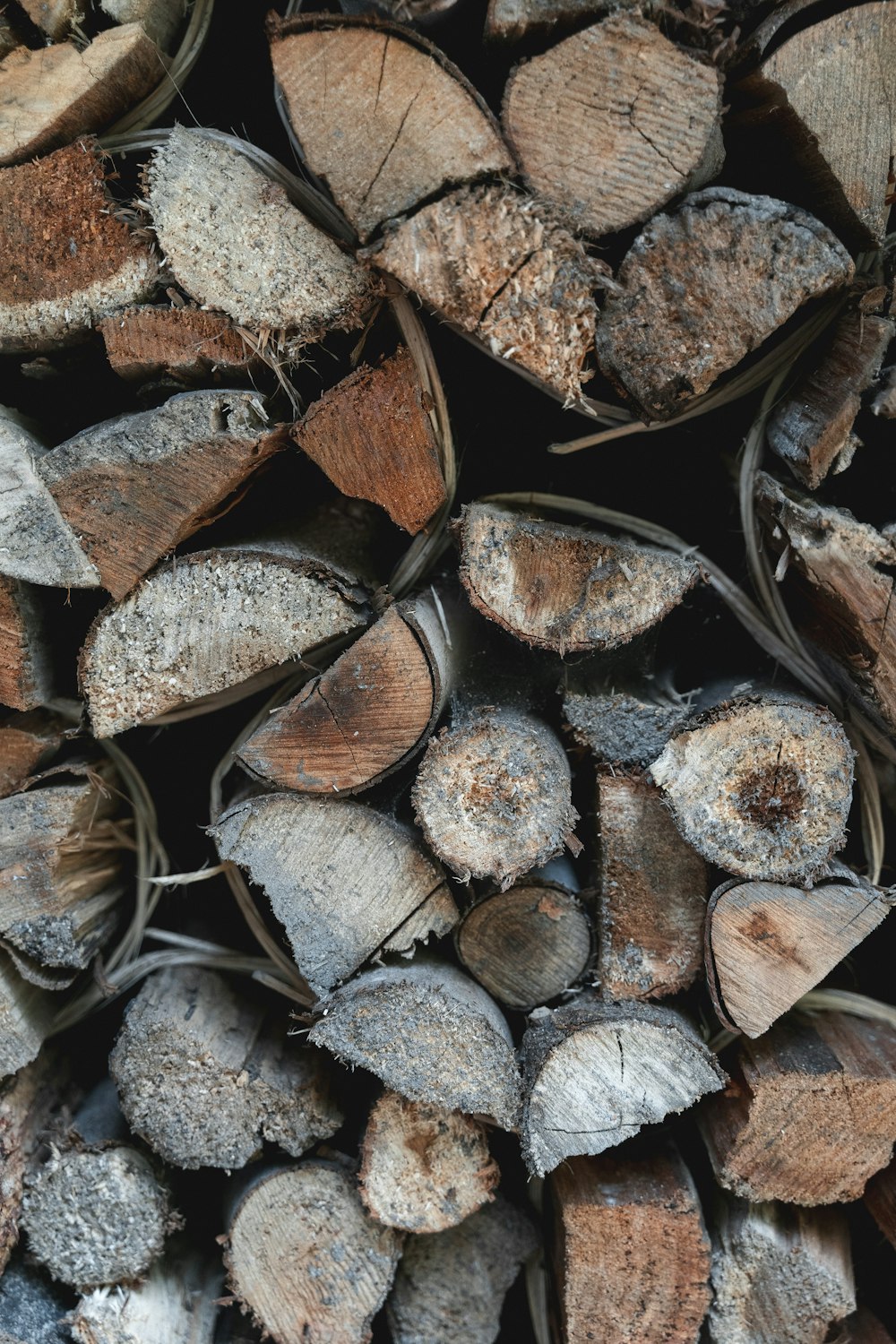 a pile of cut wood sitting next to each other