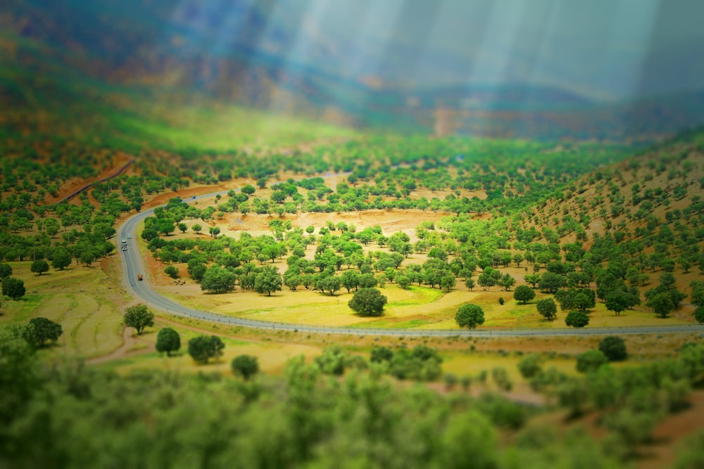 an aerial view of a winding road surrounded by trees