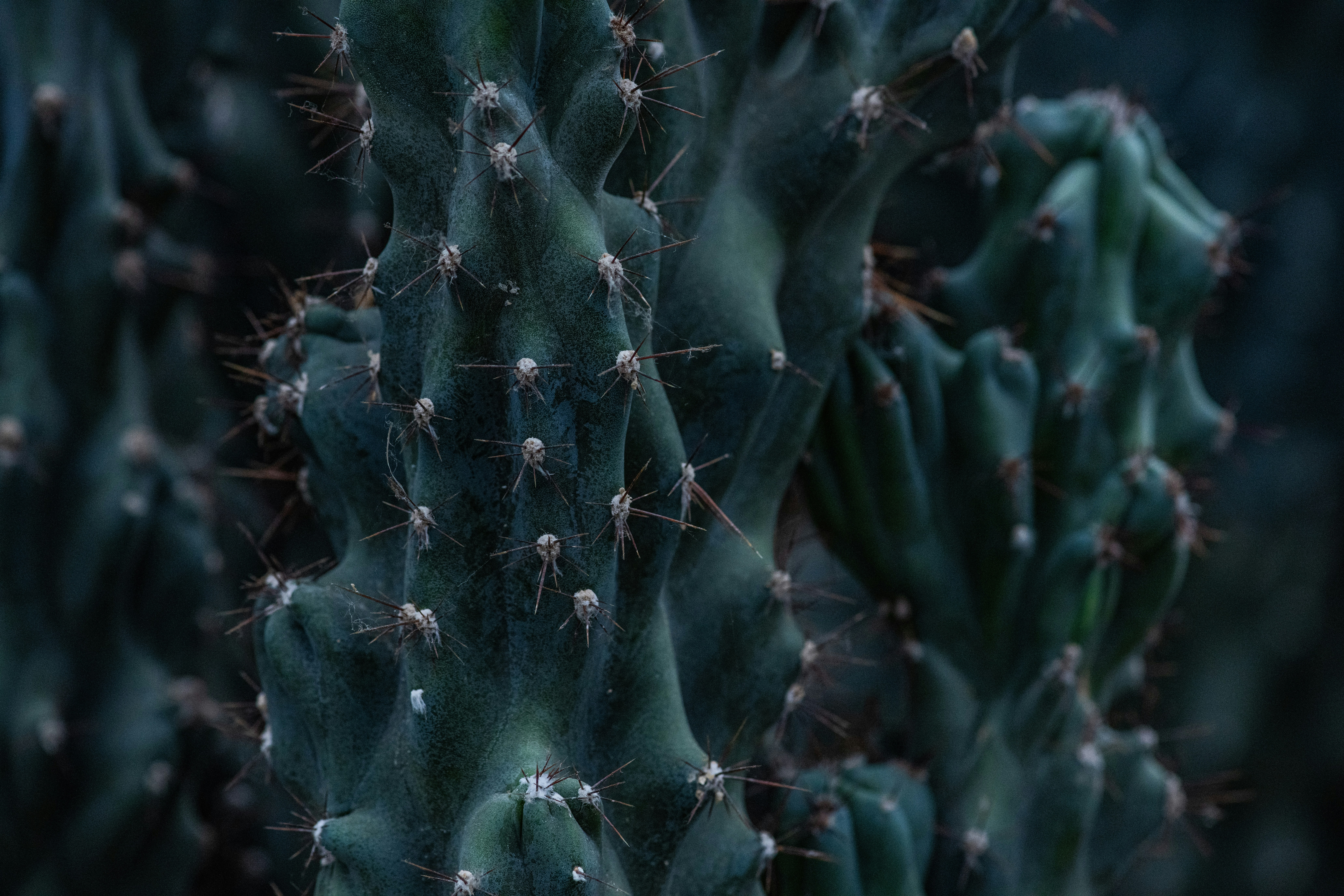 Photo by anitaaustvika