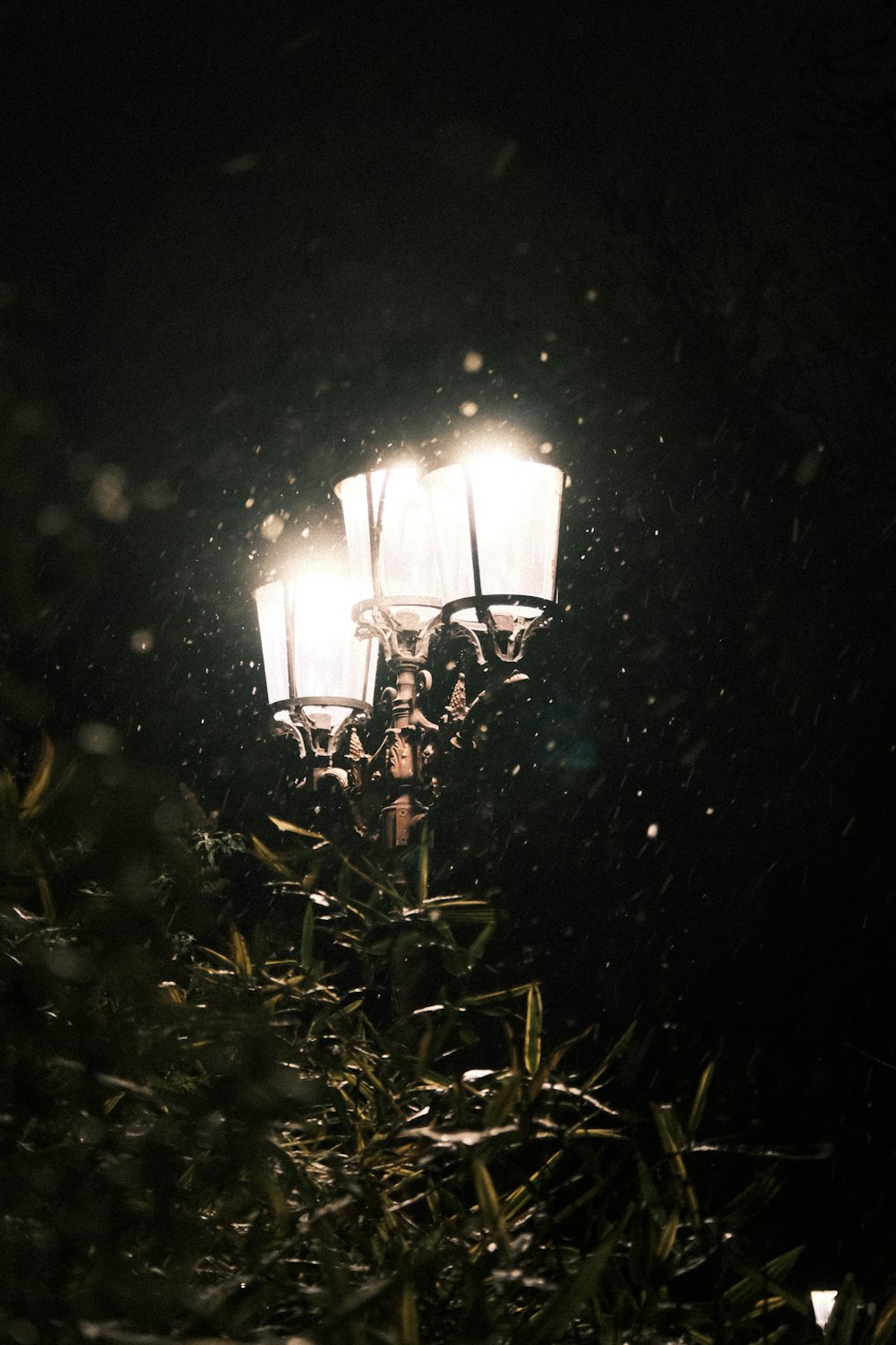 a street light in the middle of a grassy area