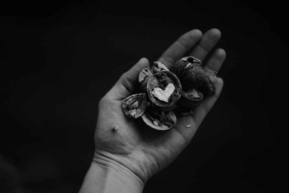 a black and white photo of a person's hand holding clams