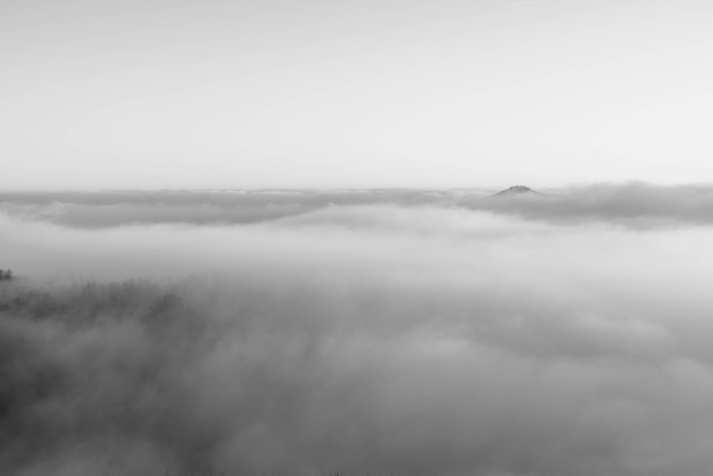 a black and white photo of a foggy landscape