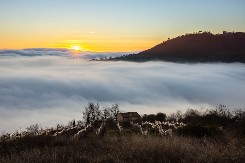 a house in the middle of a field surrounded by fog