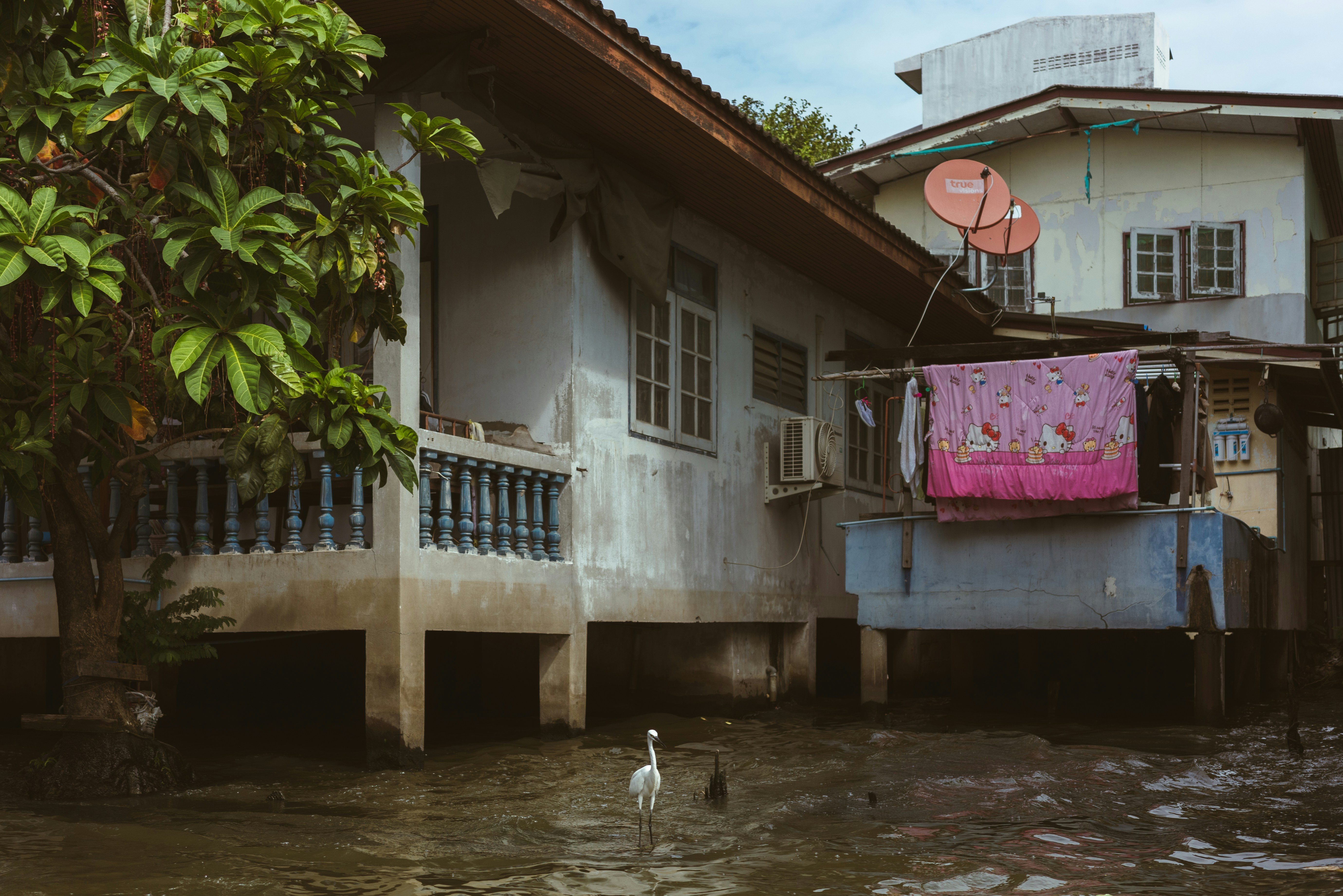 Water Wars: The Human Story (image credits: unsplash)