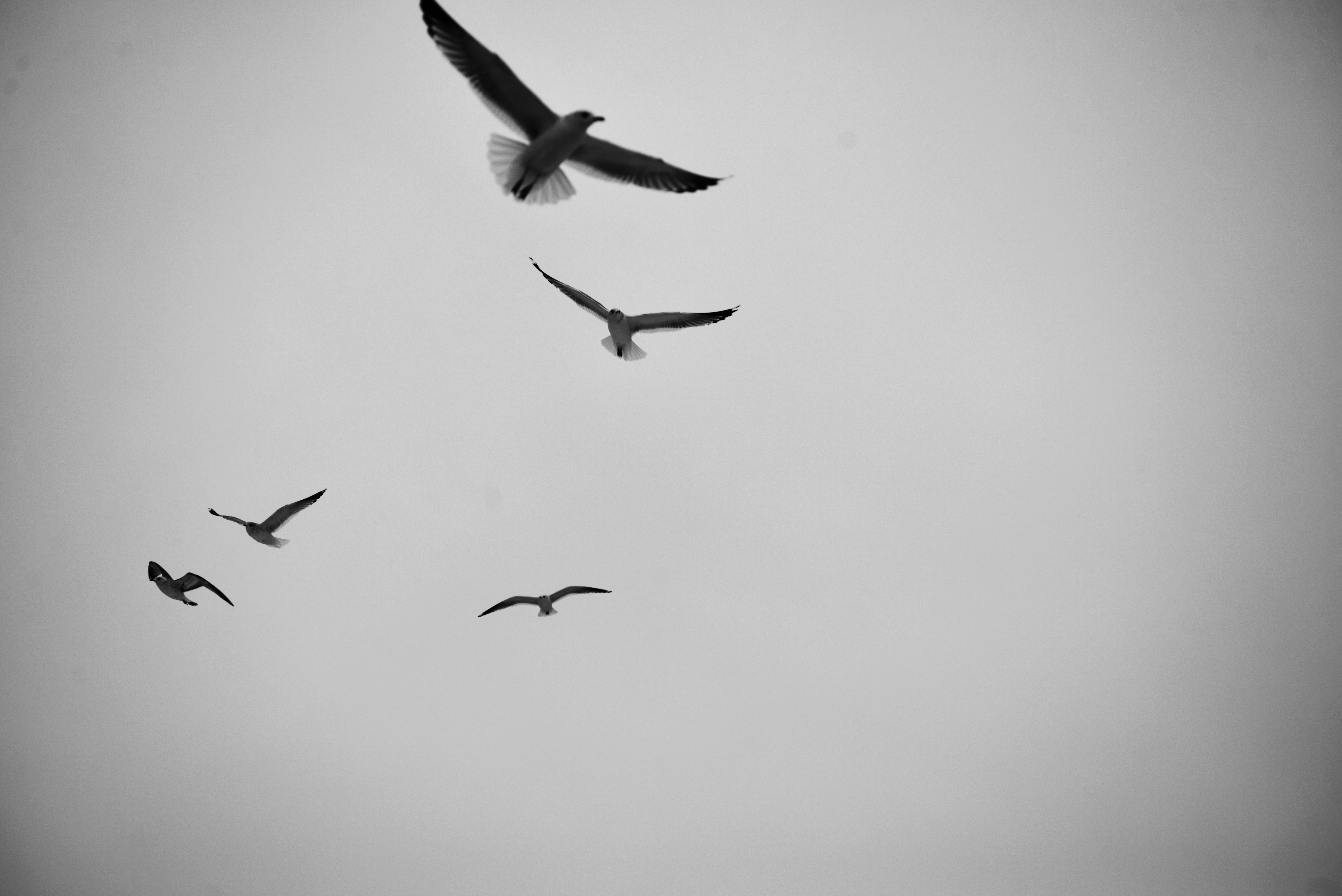 Photo by cherstve_pechivo