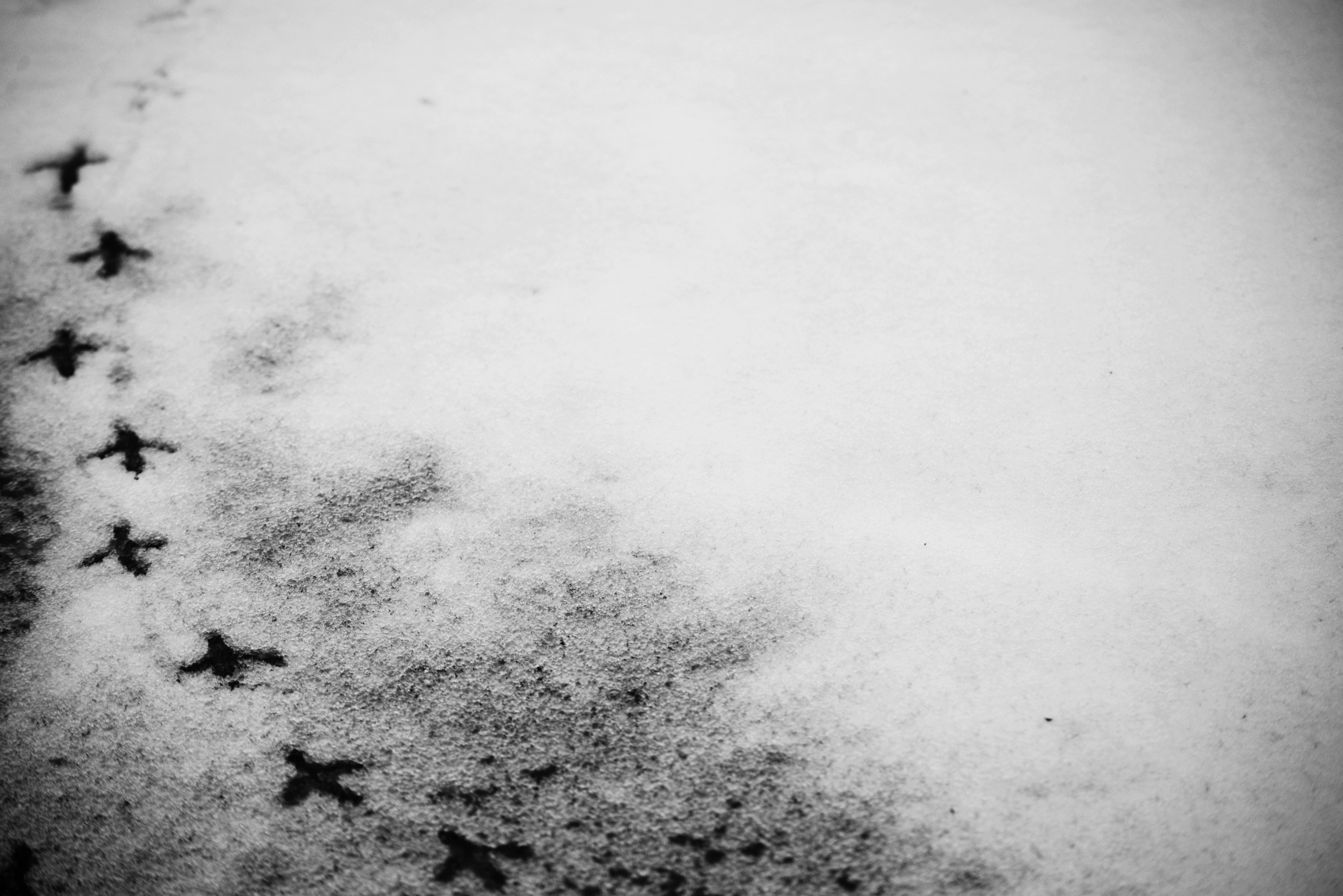 Photo by cherstve_pechivo