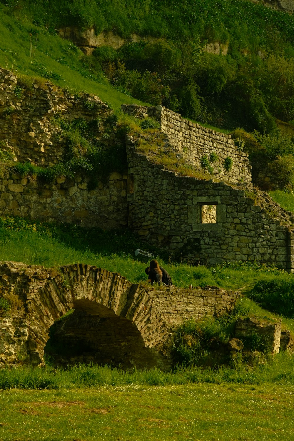 a horse is standing on a stone bridge