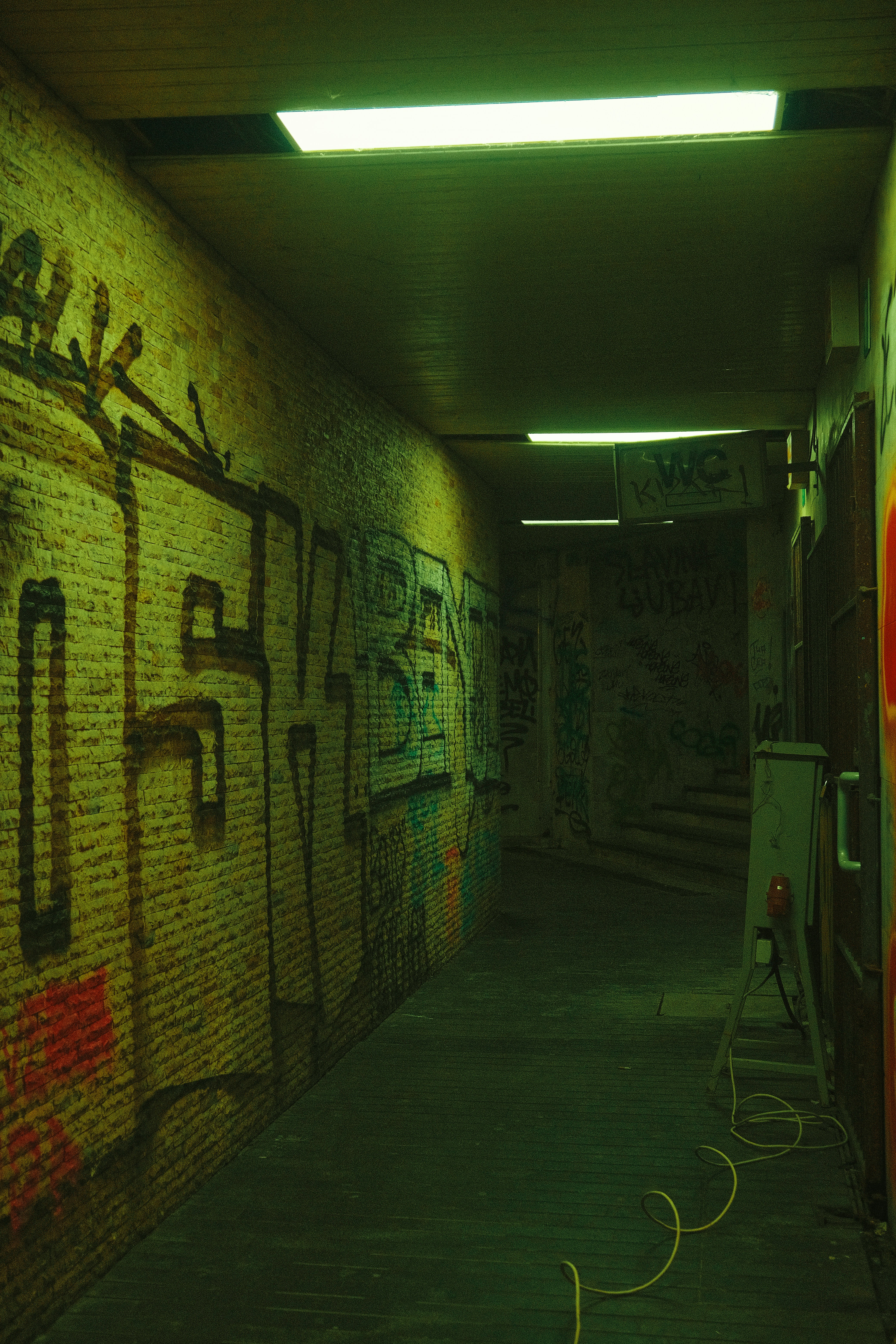 Photo by lara_markovinovic