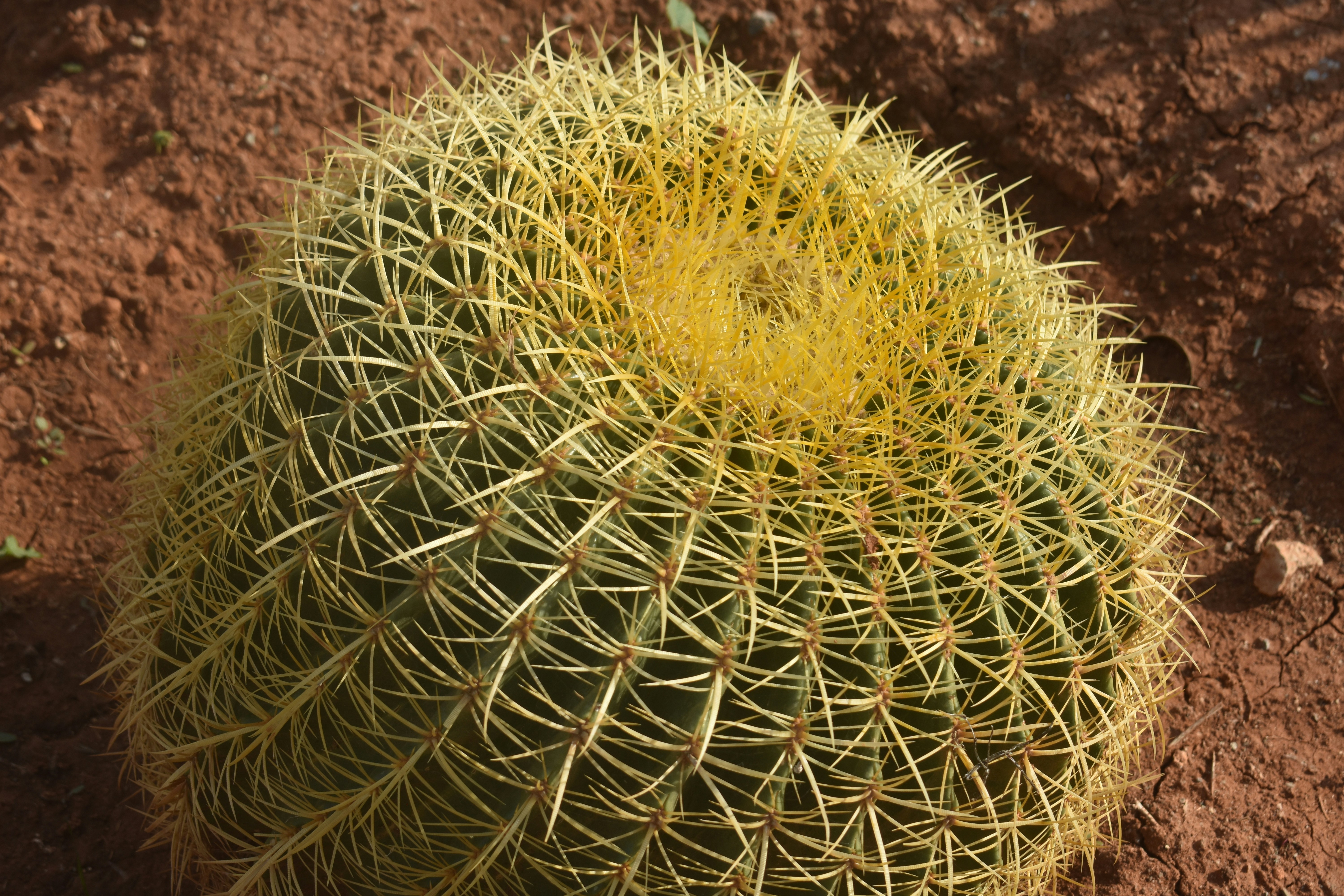 Photo by joanpinnick