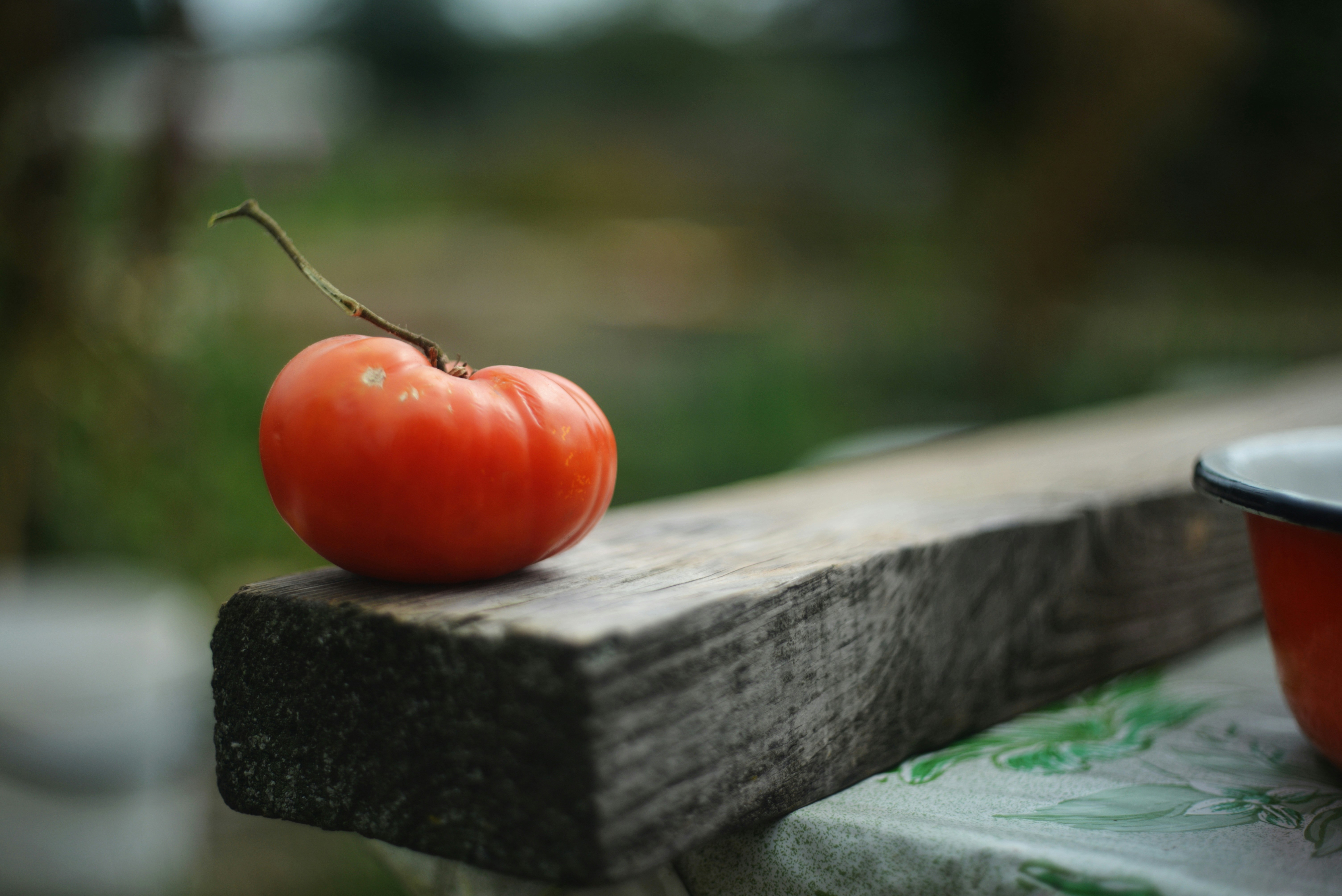 Photo by cherstve_pechivo