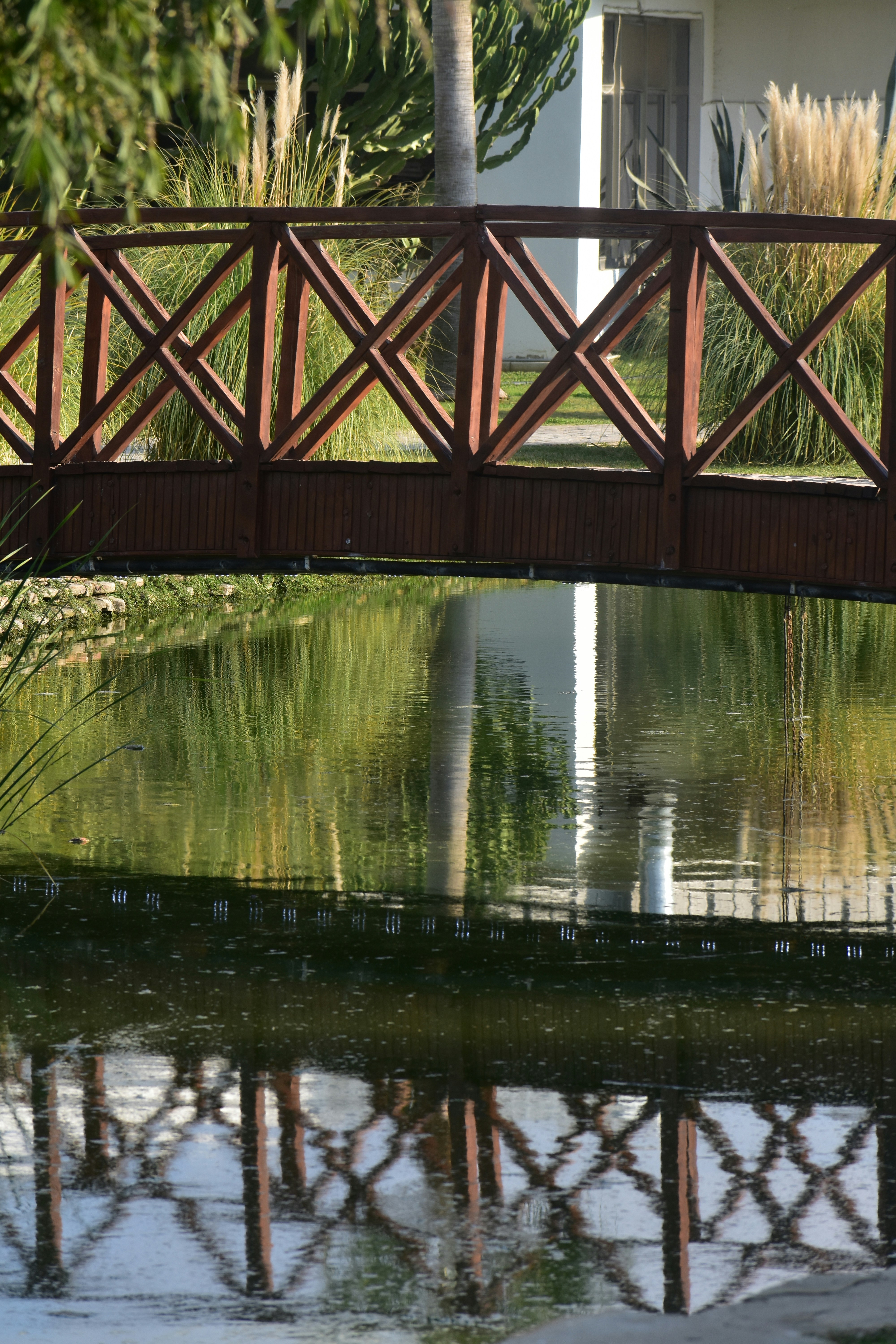 Photo by joanpinnick