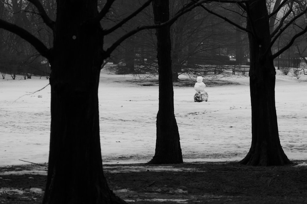 a black and white photo of a snow covered field