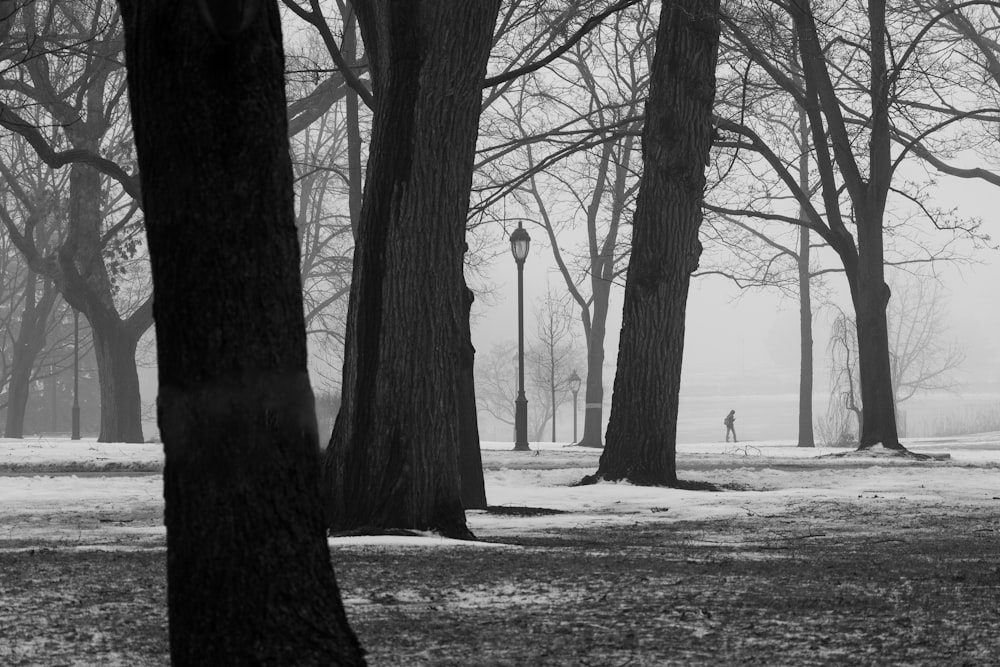 a person walking through a park in the snow