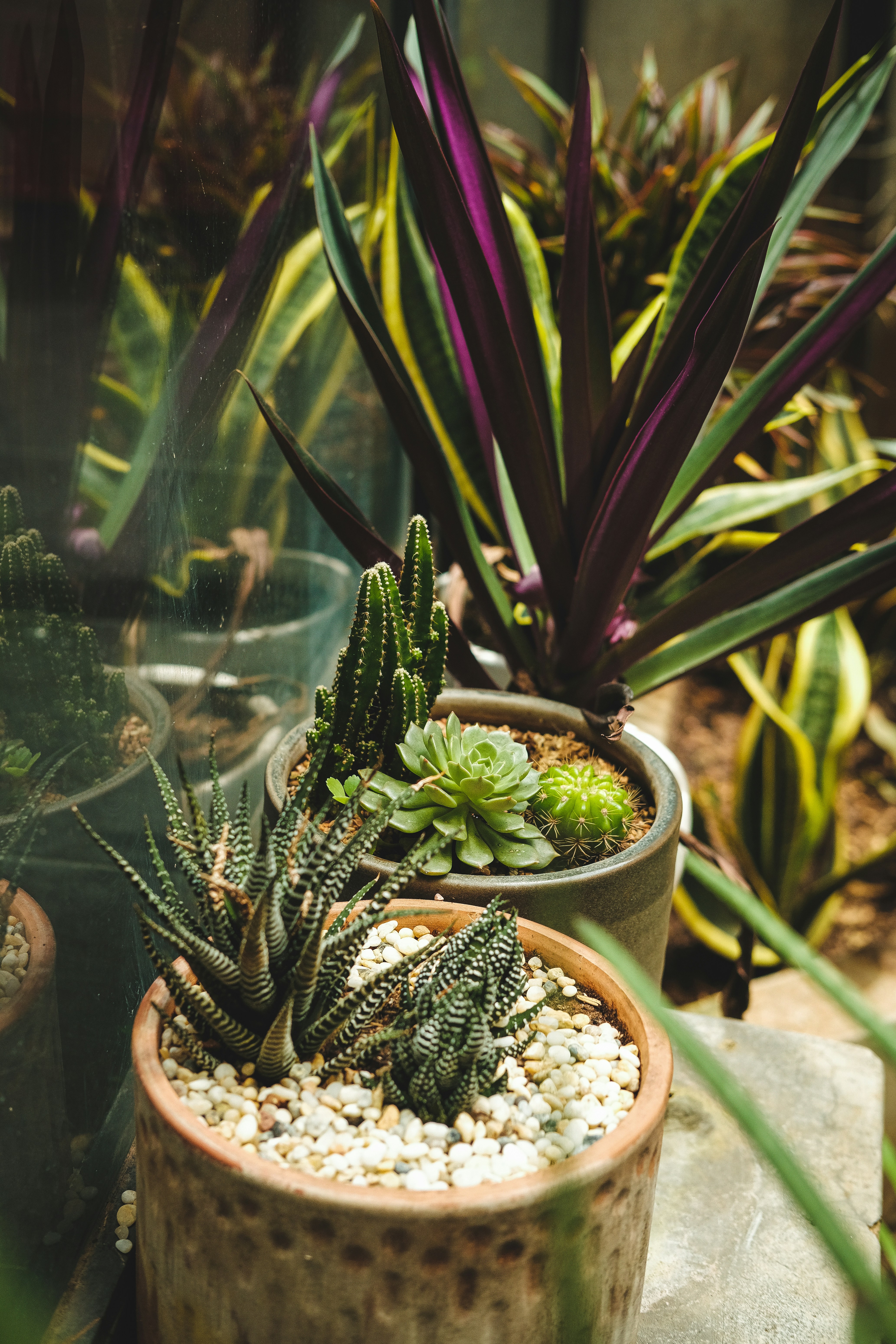 Photo by nganduong93