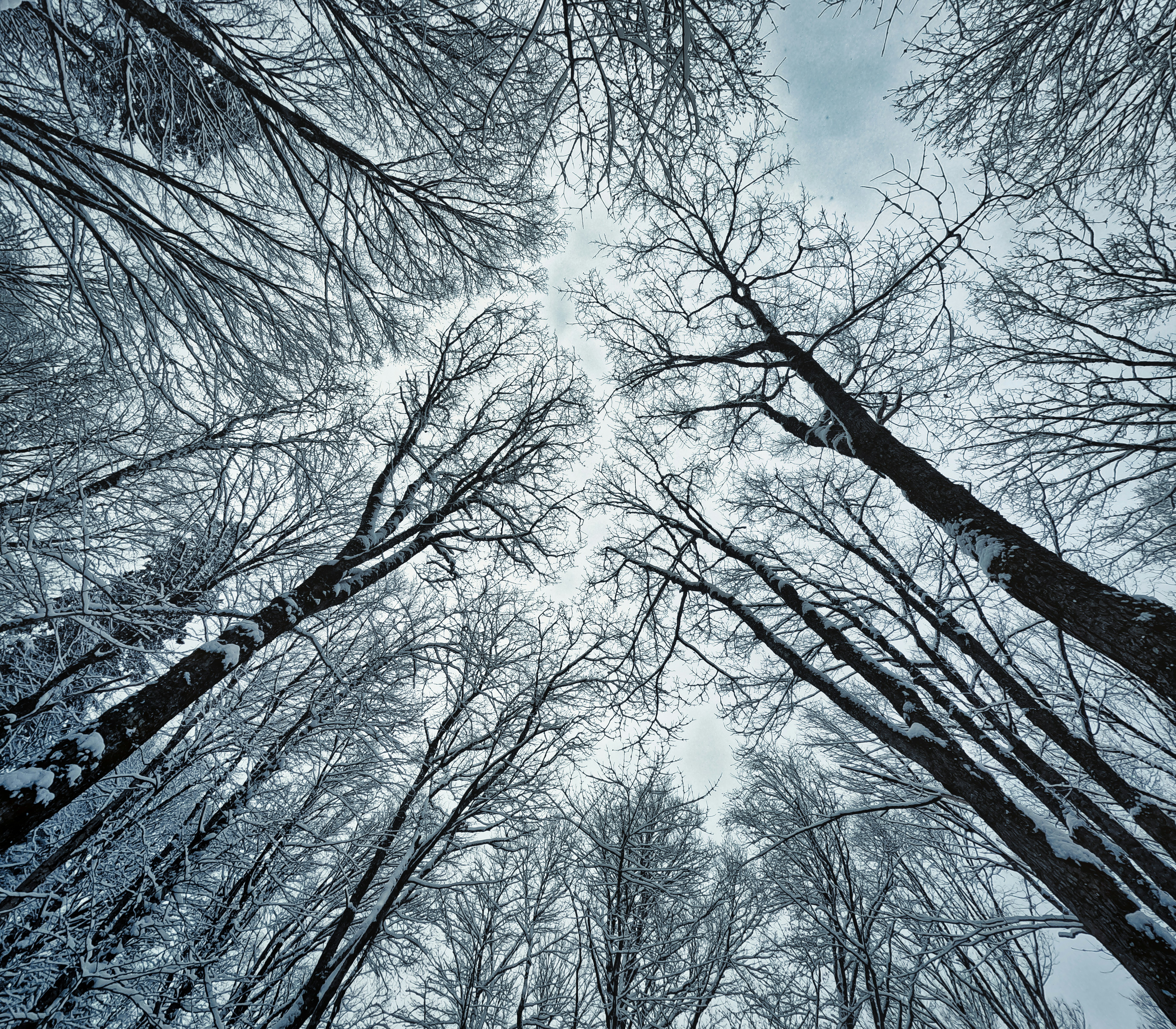 Photo by mathisvisuals