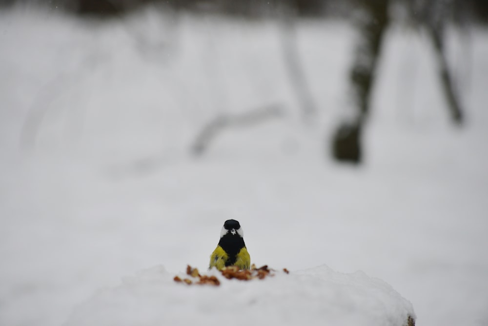 a small figurine sitting on top of a pile of snow
