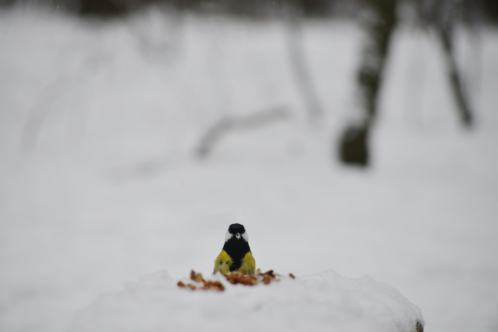 una pequeña figurita sentada encima de un montón de nieve