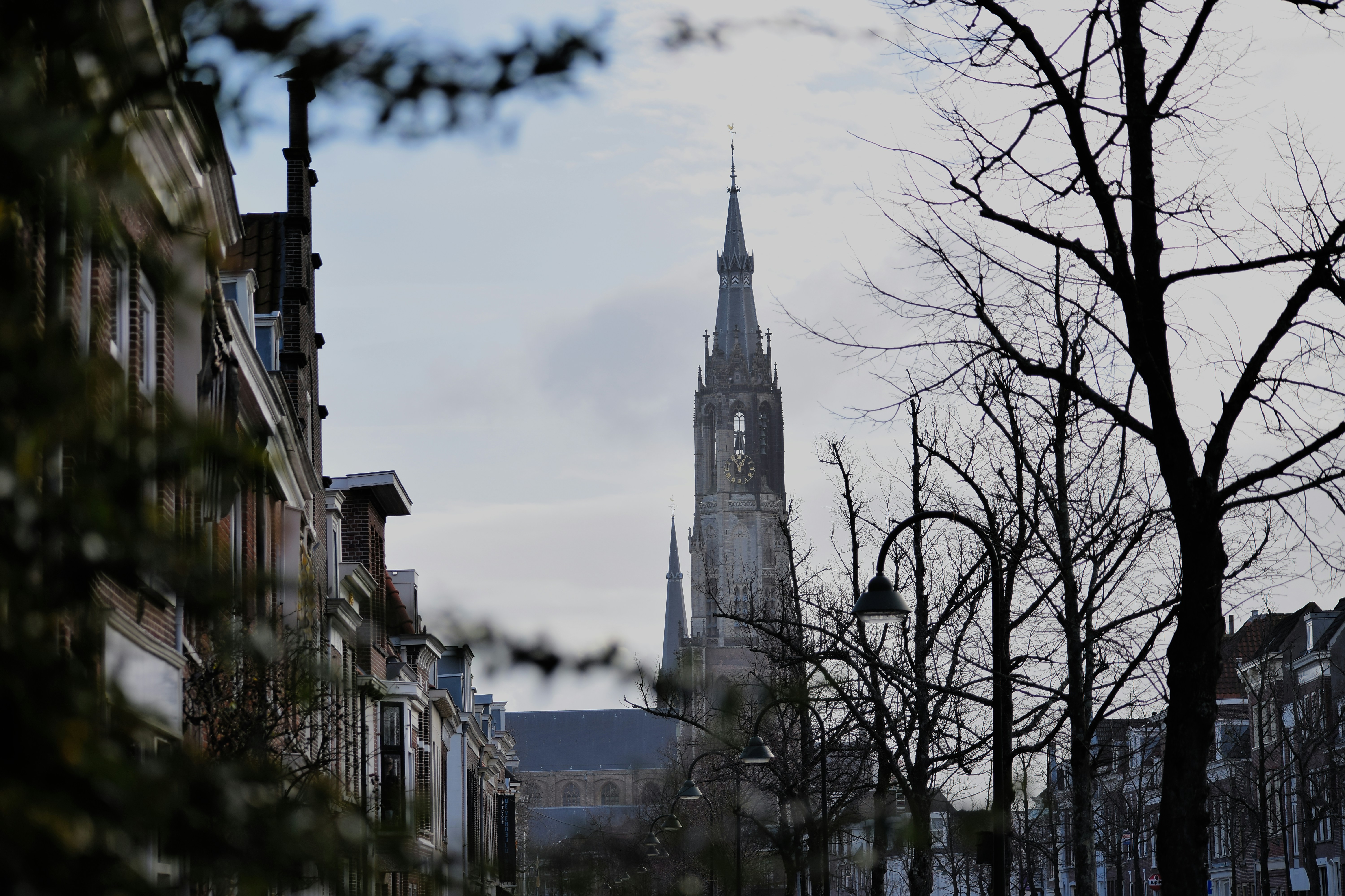 Photo by kawaivandenelzen