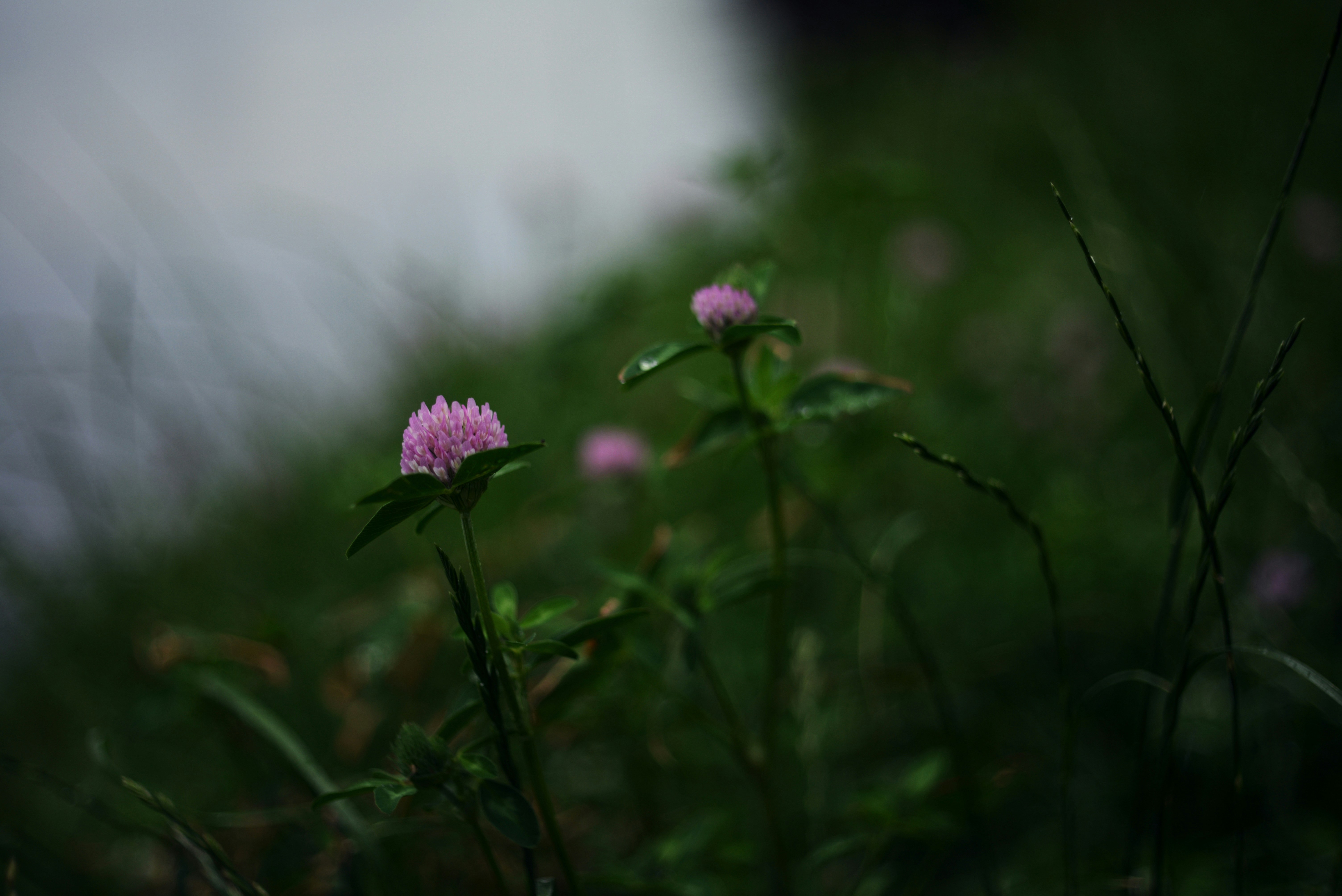 Photo by cherstve_pechivo