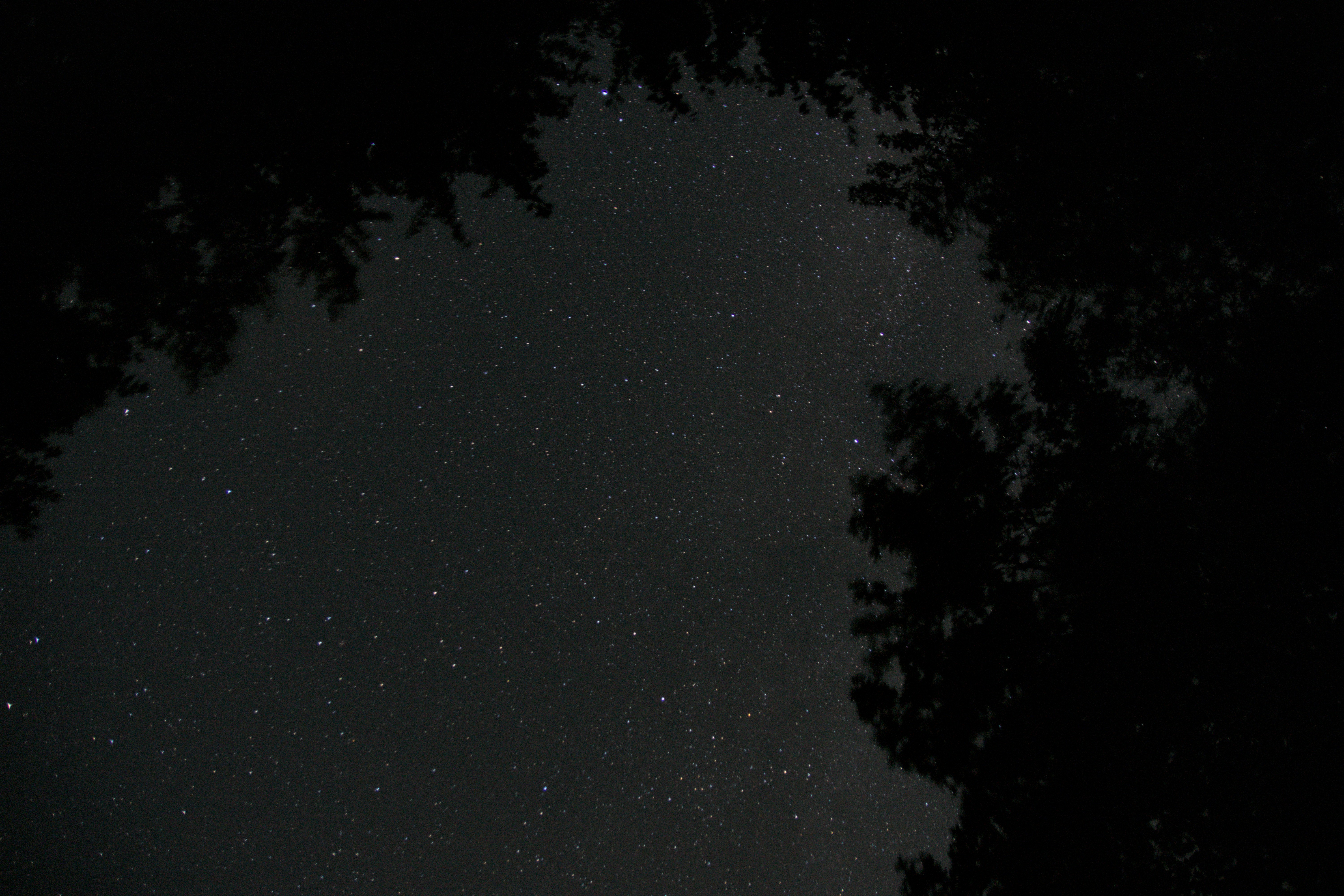 Photo by kawaivandenelzen