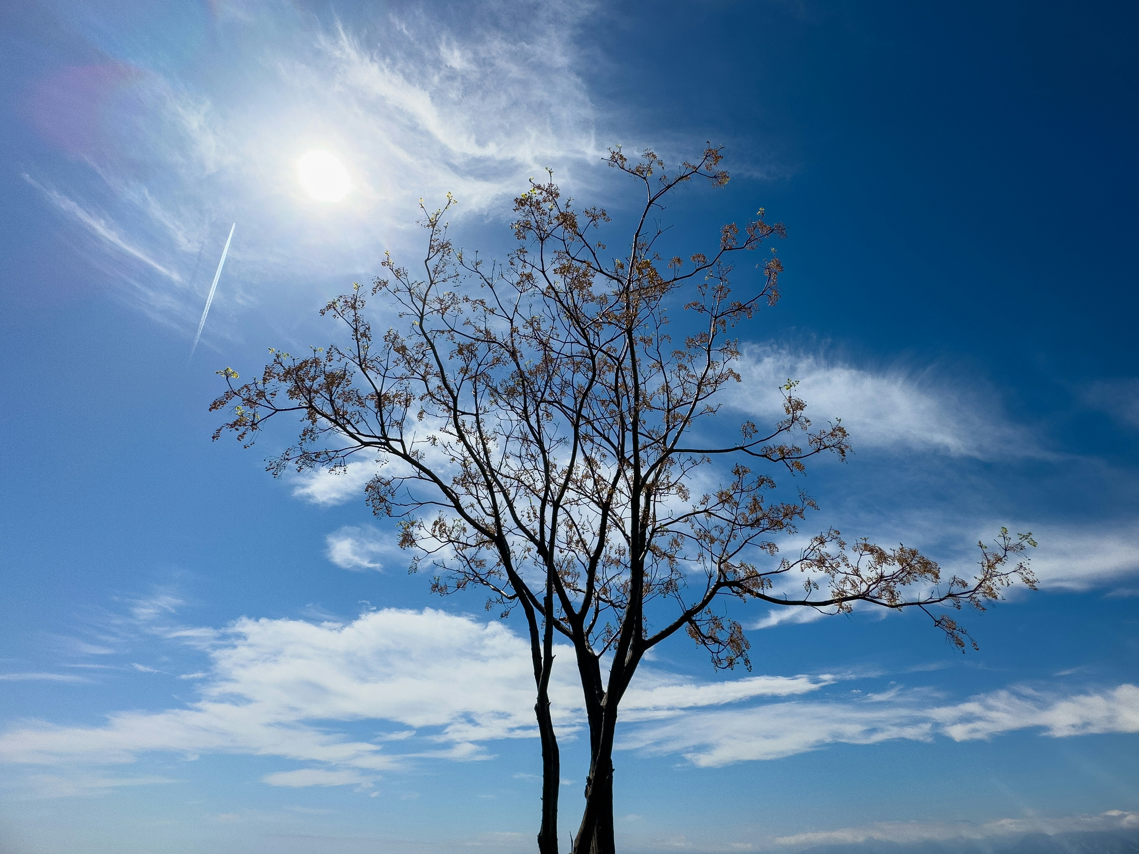 Photo by enginakyurt