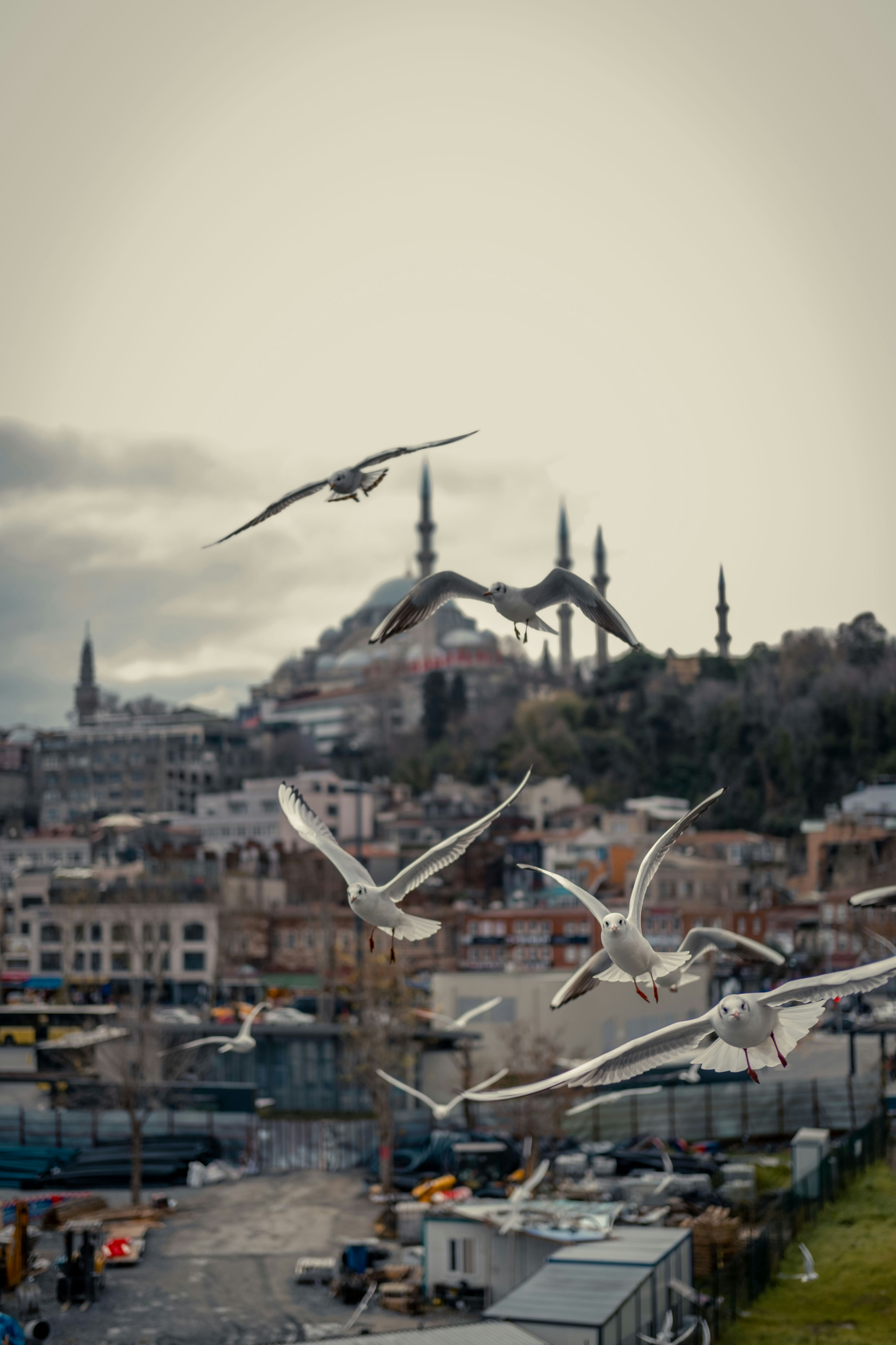 Photo by zeynepsudephoto