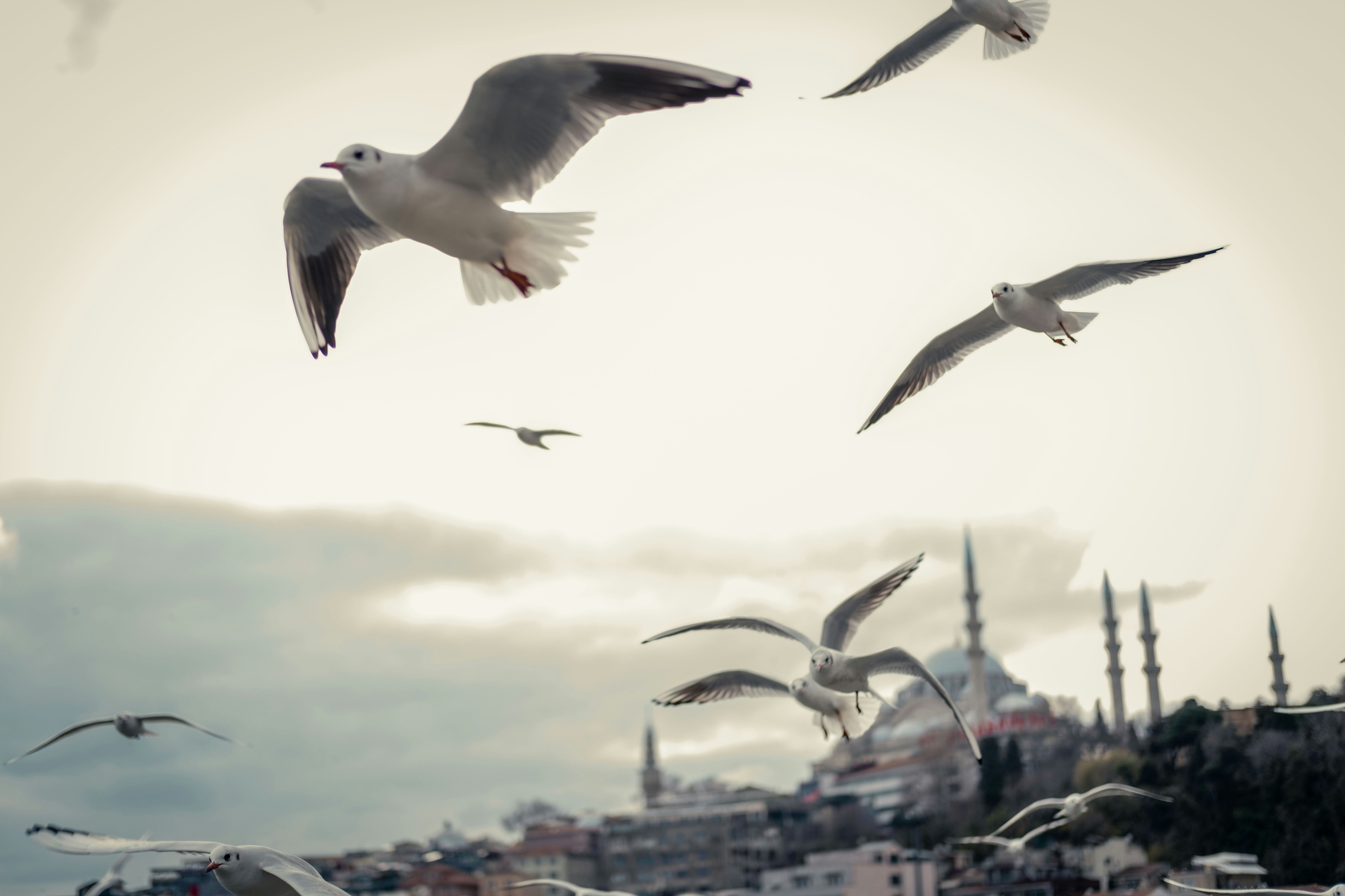 Photo by zeynepsudephoto