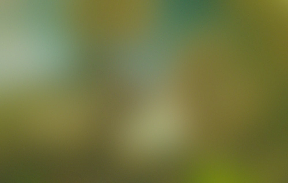 a blurry image of a green and yellow background