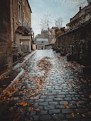 a cobblestone street with leaves on the ground