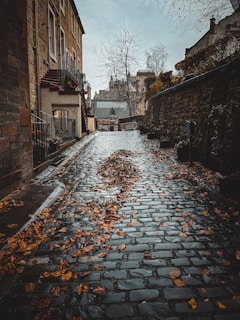 a cobblestone street with leaves on the ground