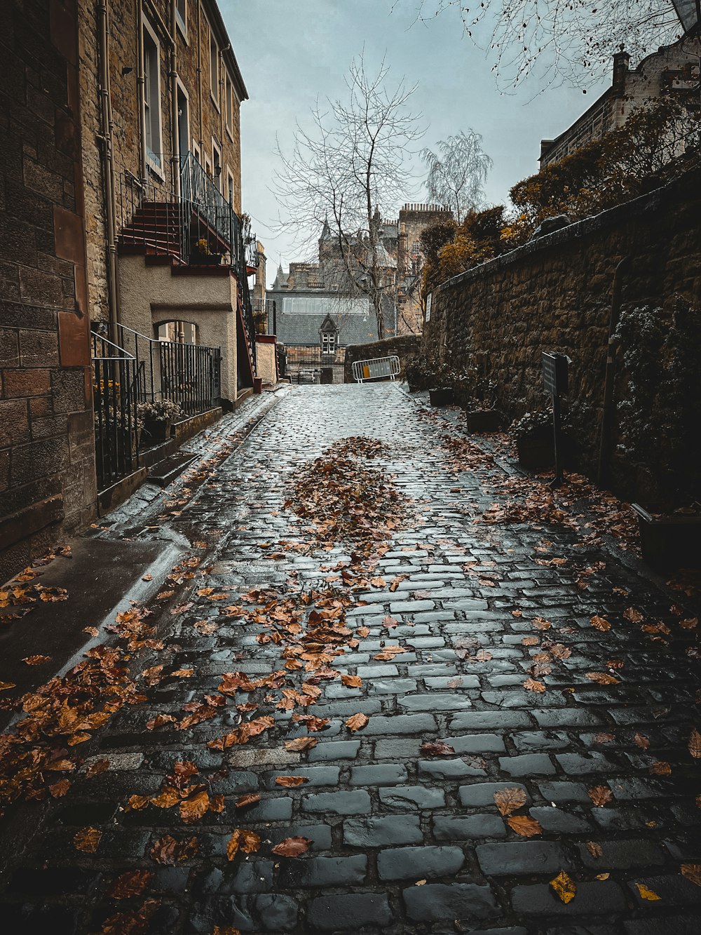 a cobblestone street with leaves on the ground