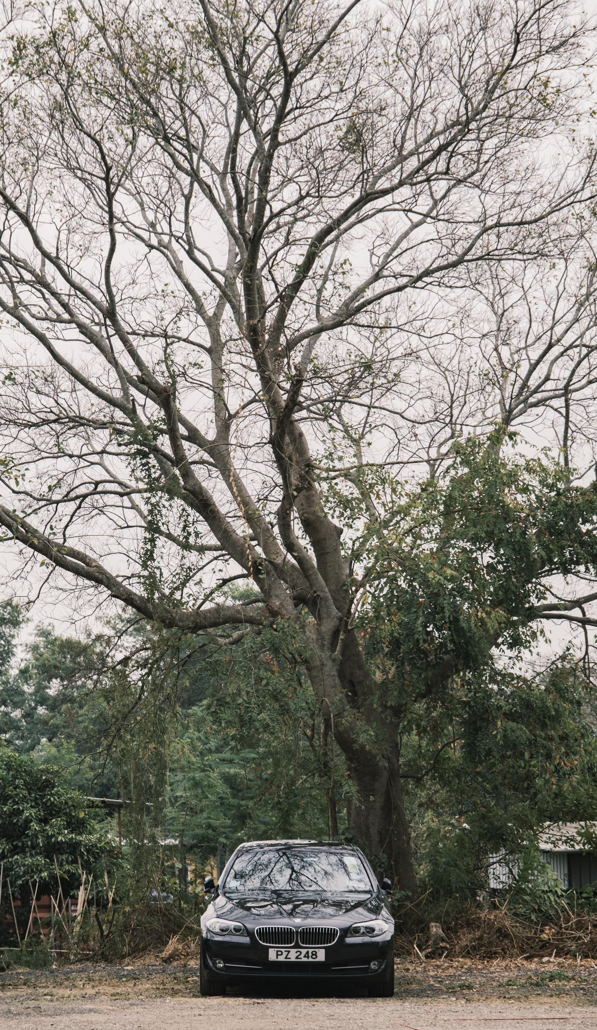 a black car parked in front of a tree