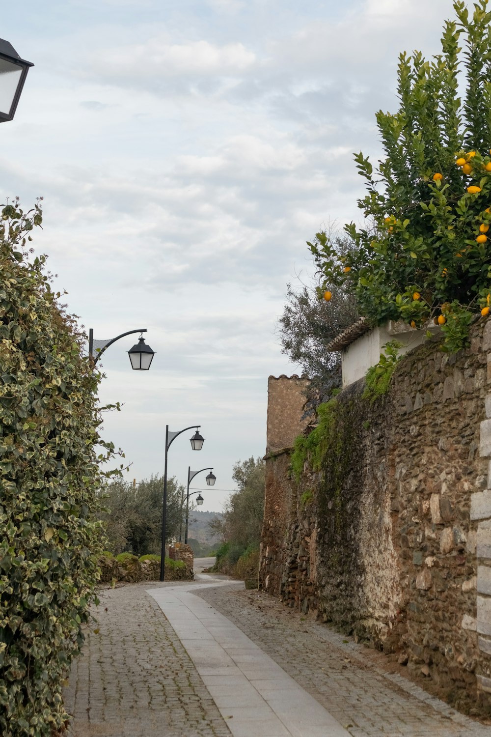 a cobblestone street lined with trees and street lamps